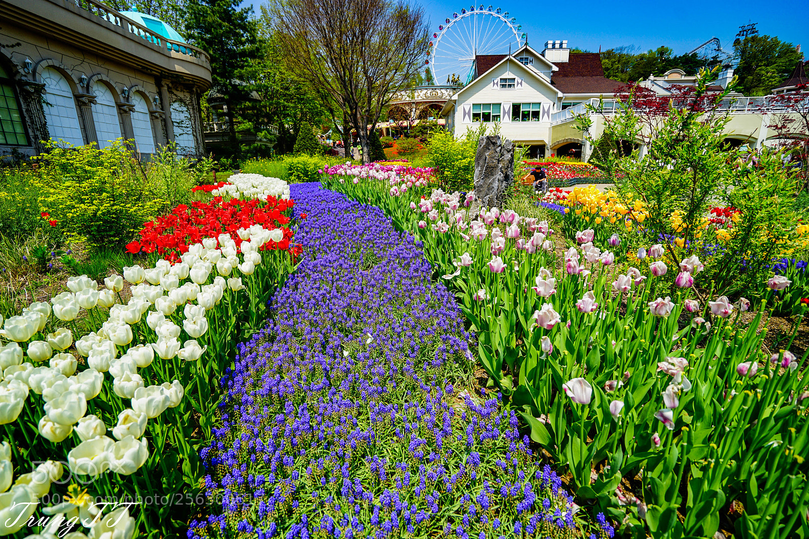 Sony a7 II sample photo. Everland photography