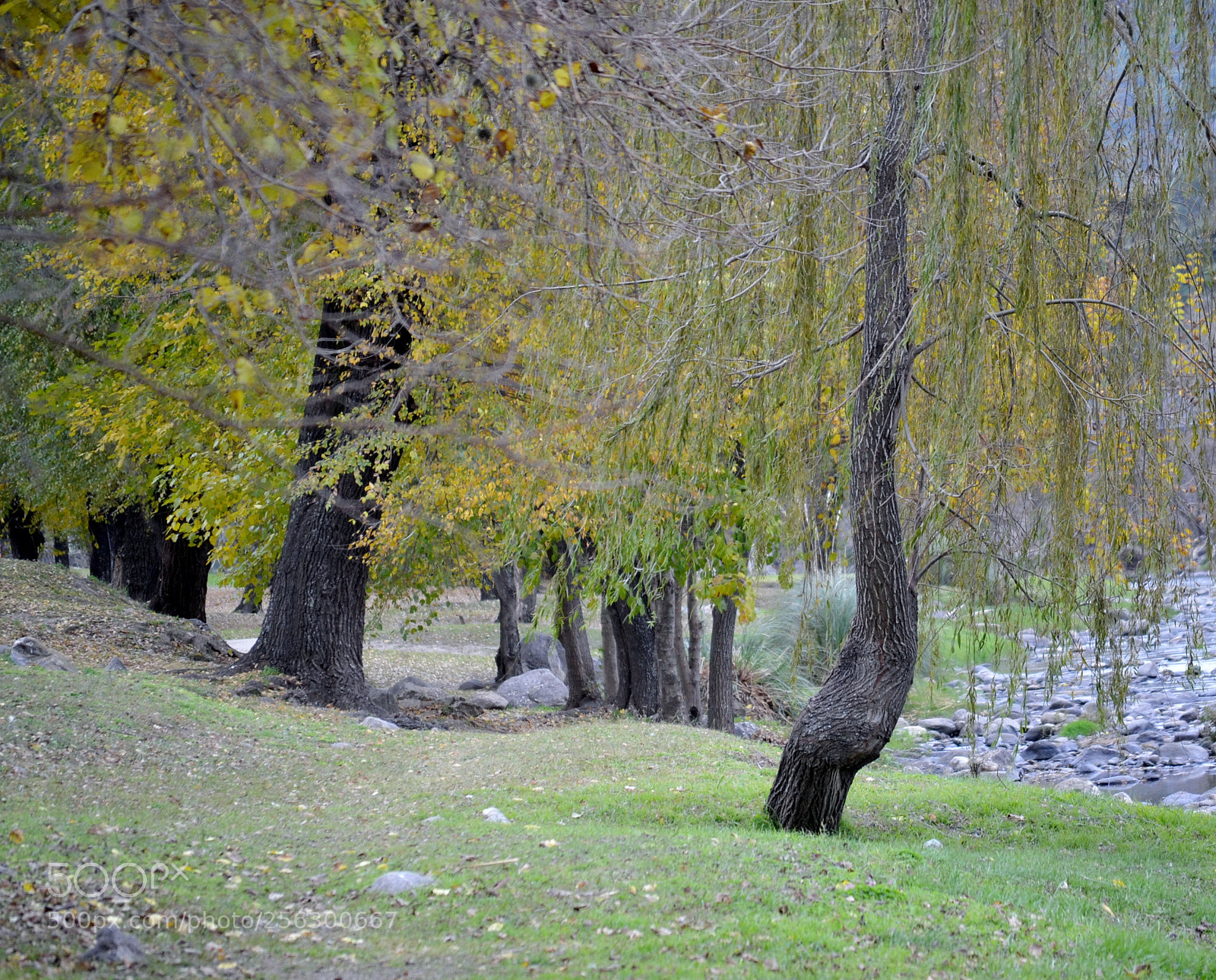 Nikon D3100 sample photo. Fc o photography