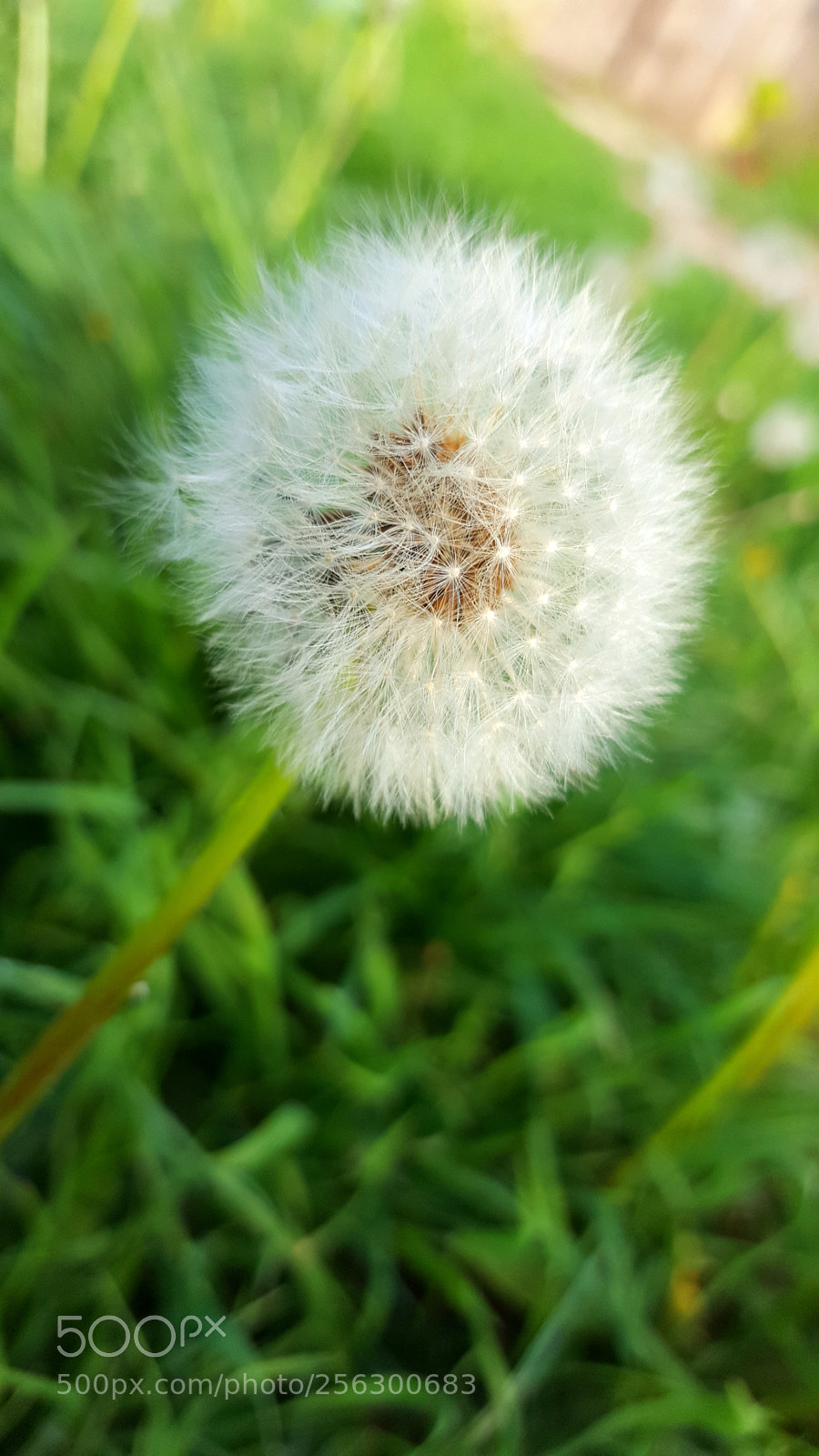 Samsung Galaxy S6 sample photo. 20180501_183719.jpg photography