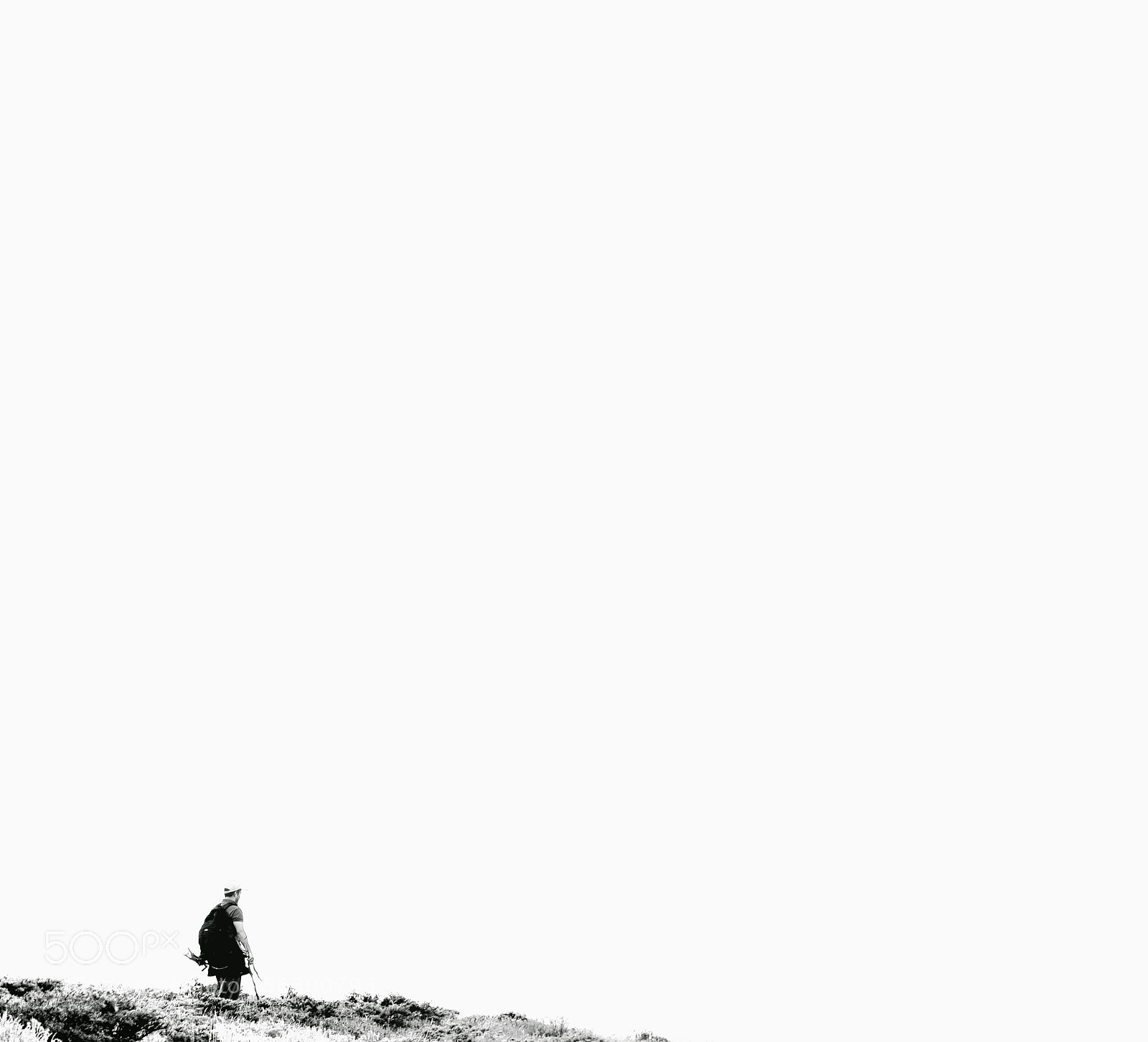 Nikon D7000 sample photo. Alone... photography