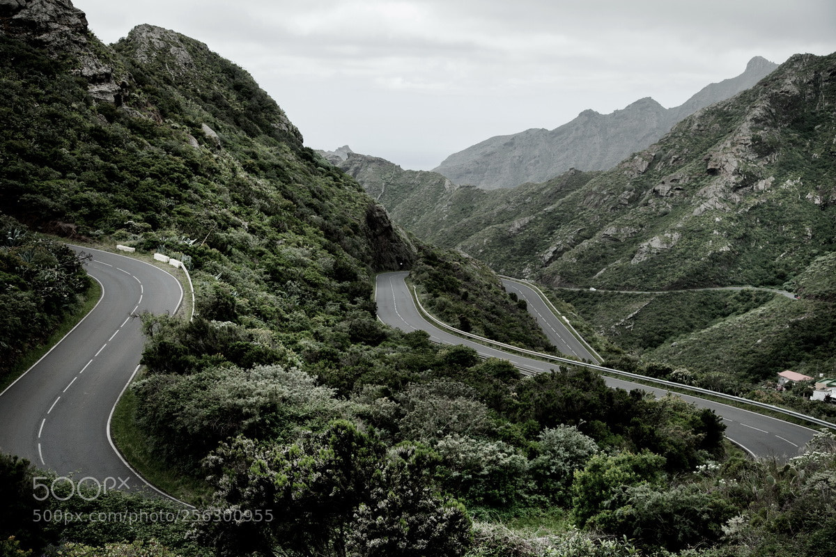 Canon EOS 5D Mark II sample photo. Mountain road in anaga photography