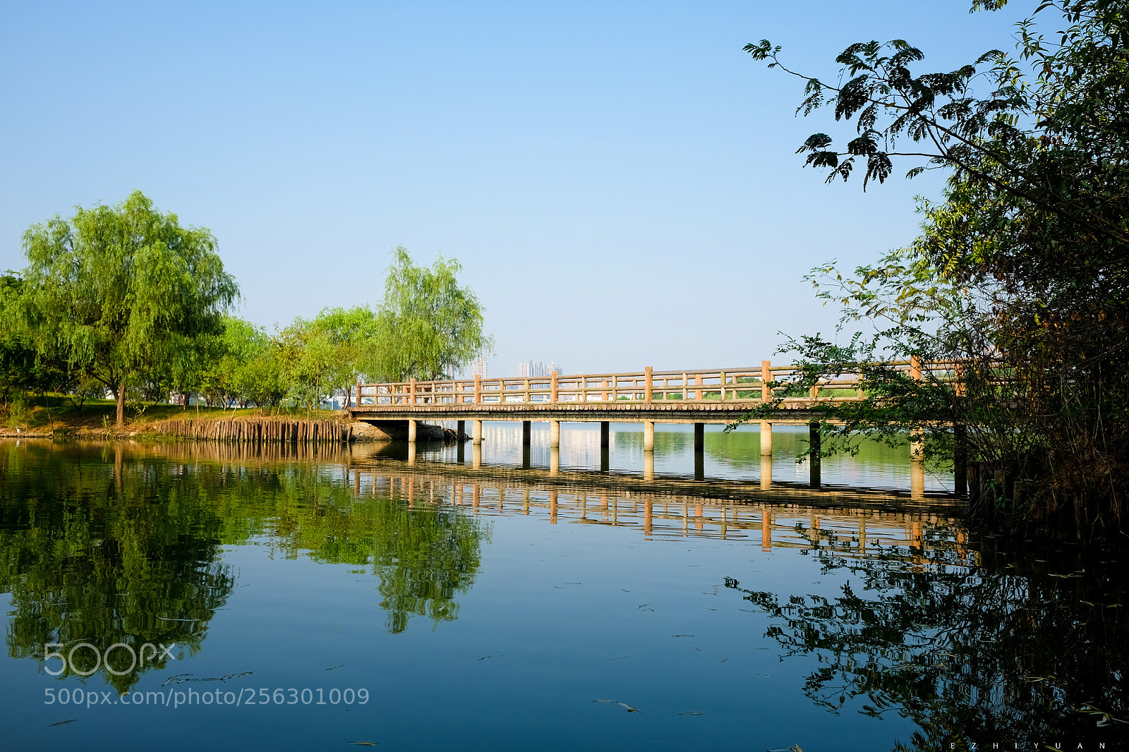 Fujifilm X70 sample photo. Untitled photography