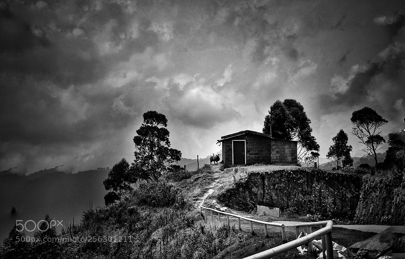 Nikon D5300 sample photo. Hill top bw photography