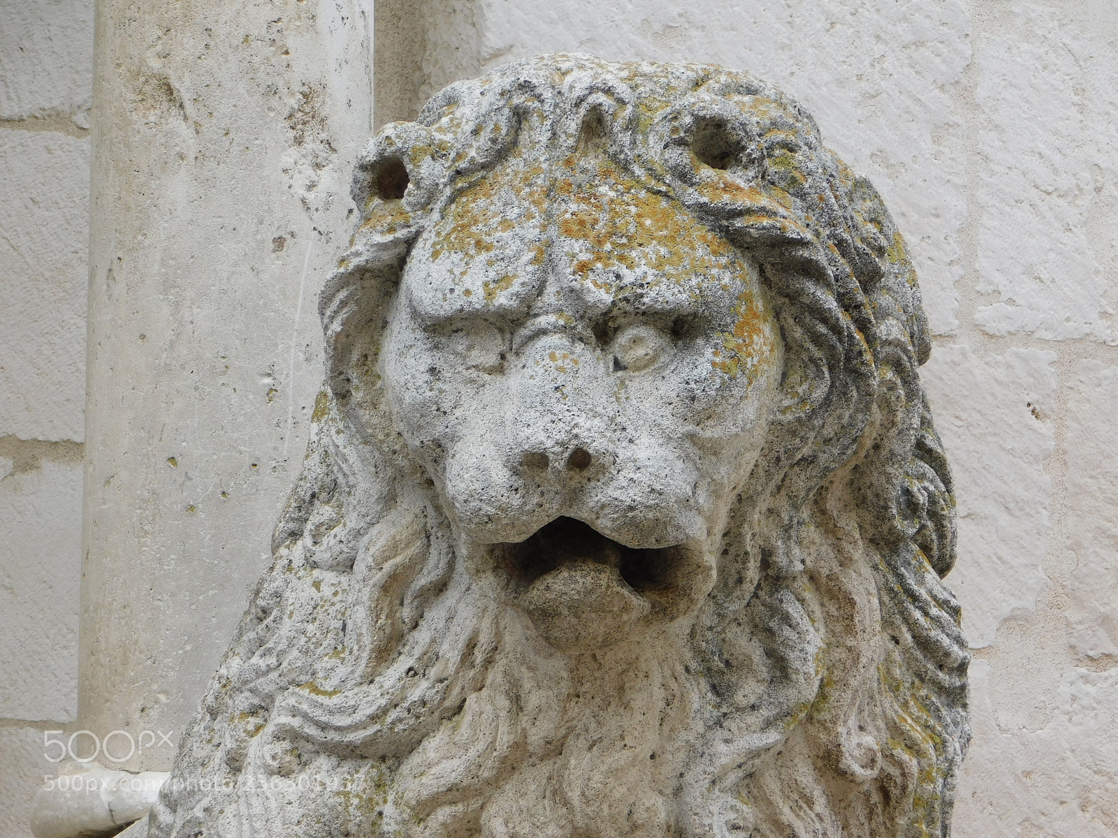 Nikon Coolpix B500 sample photo. Lion statue photography
