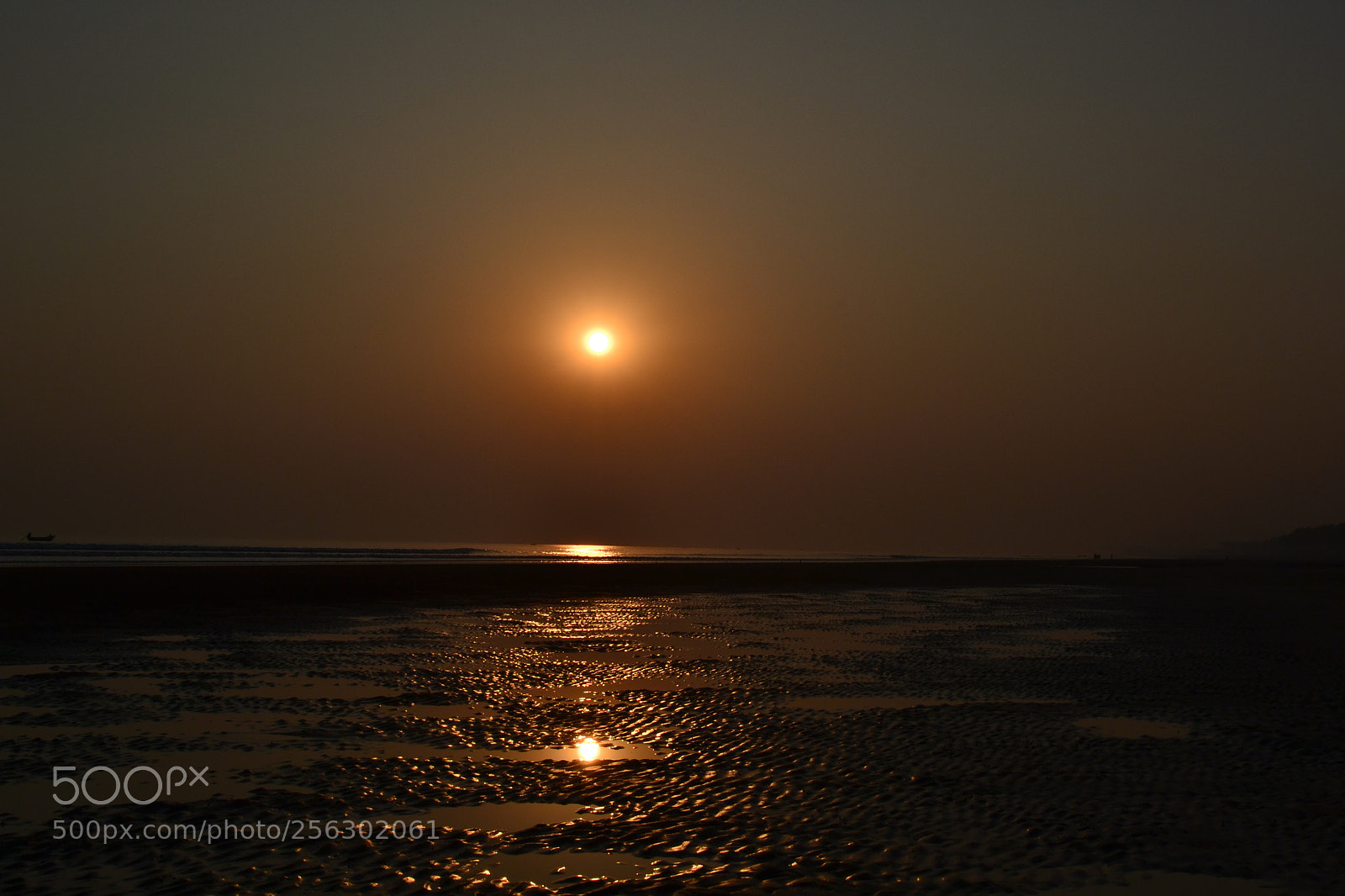 Nikon D3100 sample photo. Untitled photography
