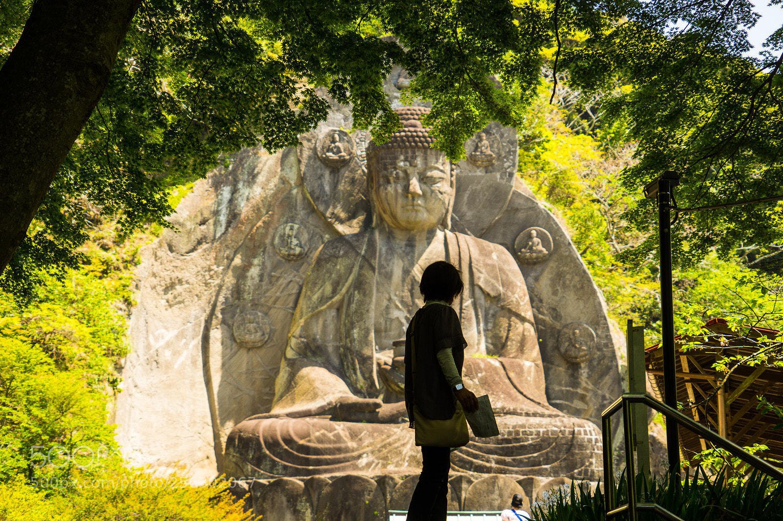 Sony a7 II sample photo. Diabutsu's gaze photography