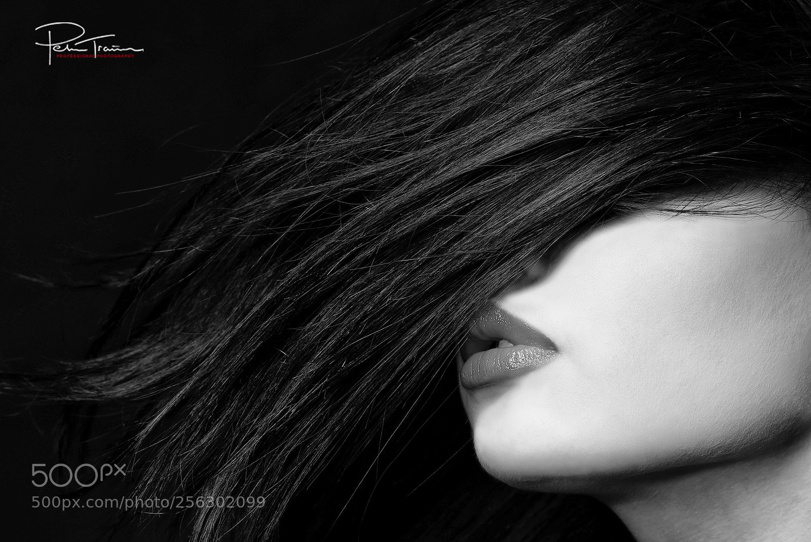 Canon EOS-1D X sample photo. Photography peter trainer photography