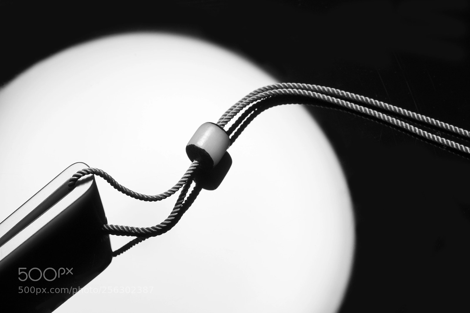 Canon EOS 5DS sample photo. Dragon photography