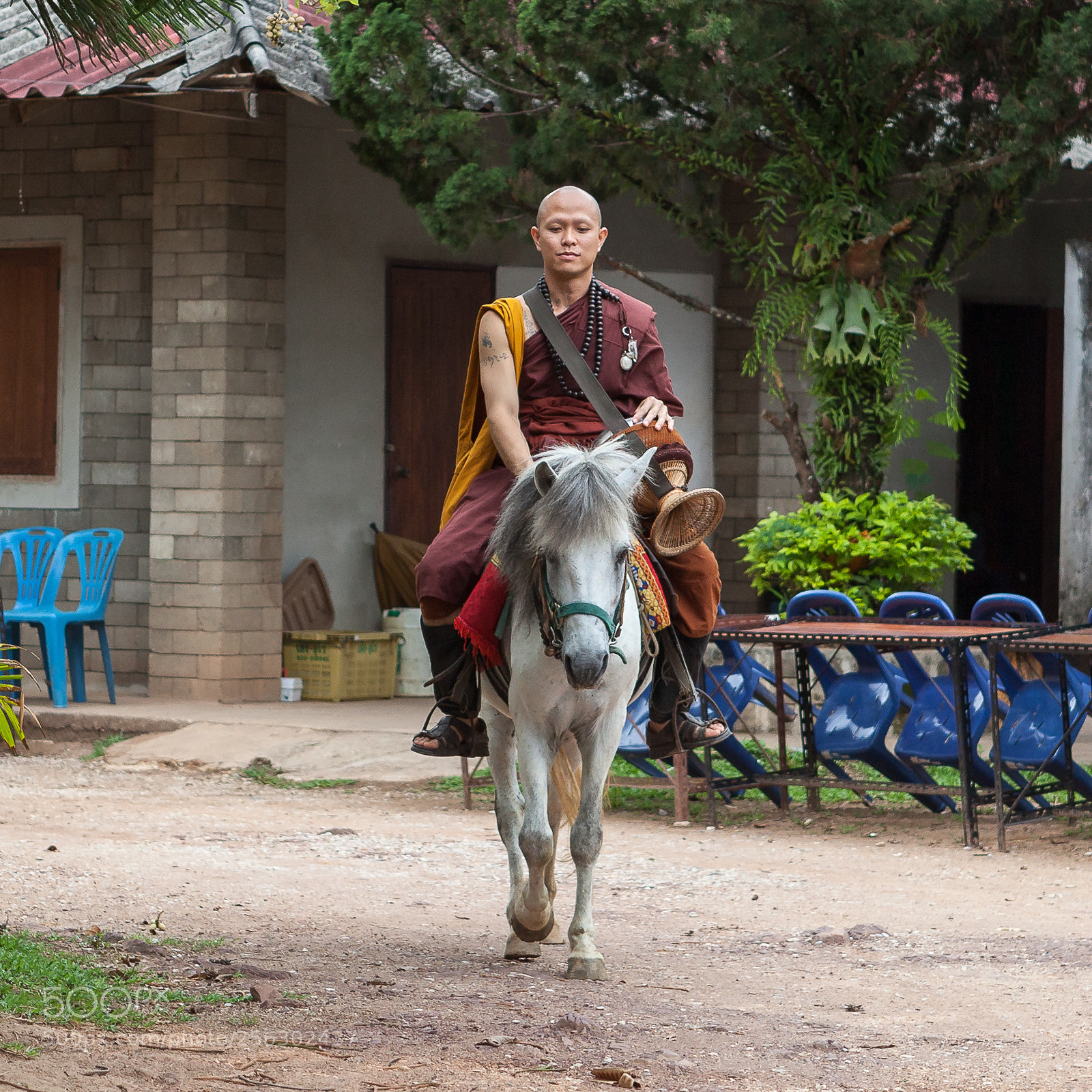 Canon EOS 5D Mark II sample photo. Mounted monk photography