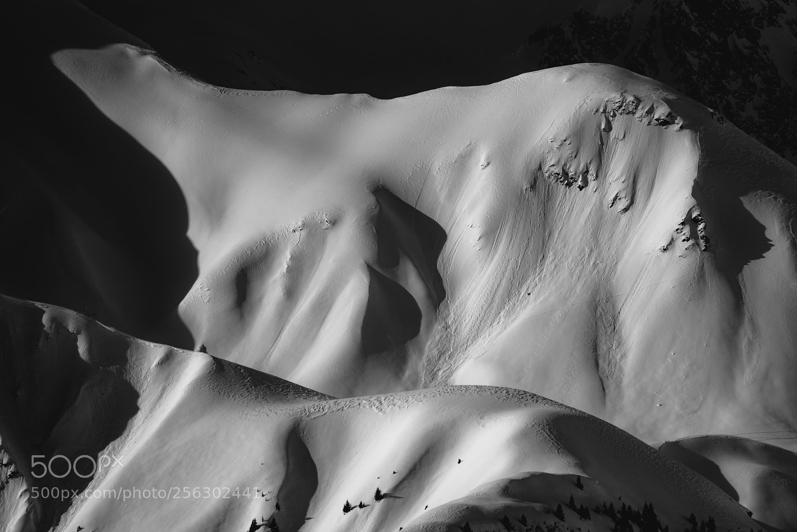 Nikon D750 sample photo. Black and white magic photography