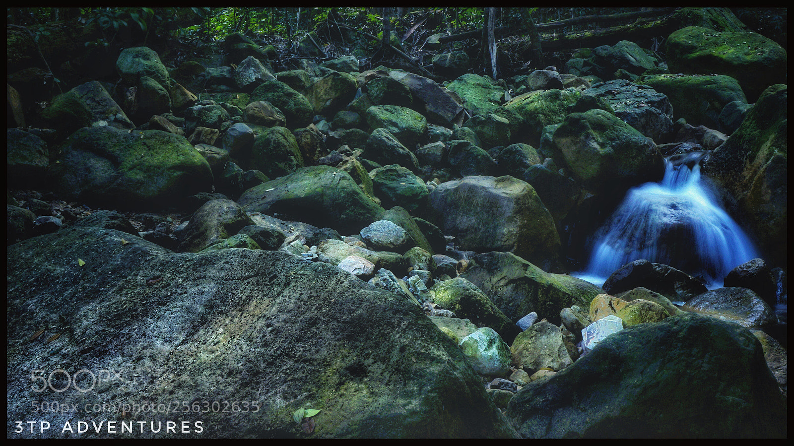 Sony Alpha NEX-5N sample photo. Untitled photography