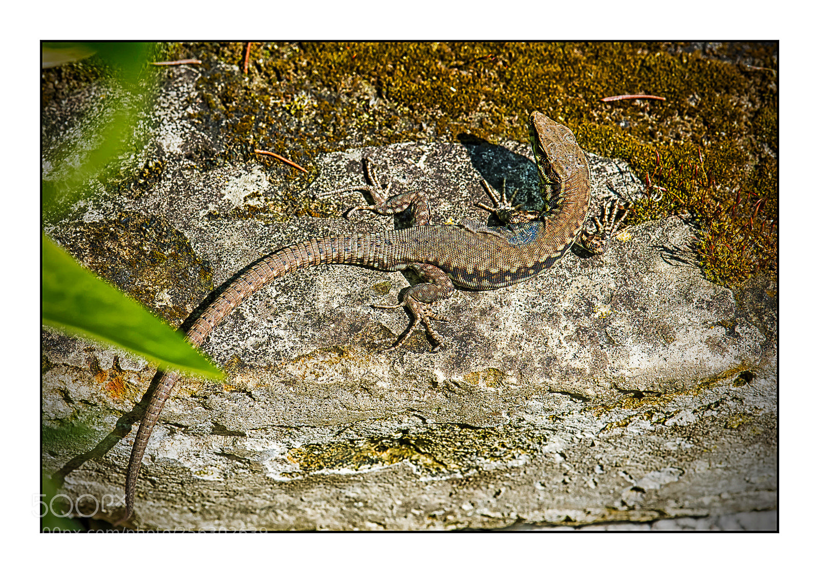 Nikon D610 sample photo. Cherche la chaleur. photography