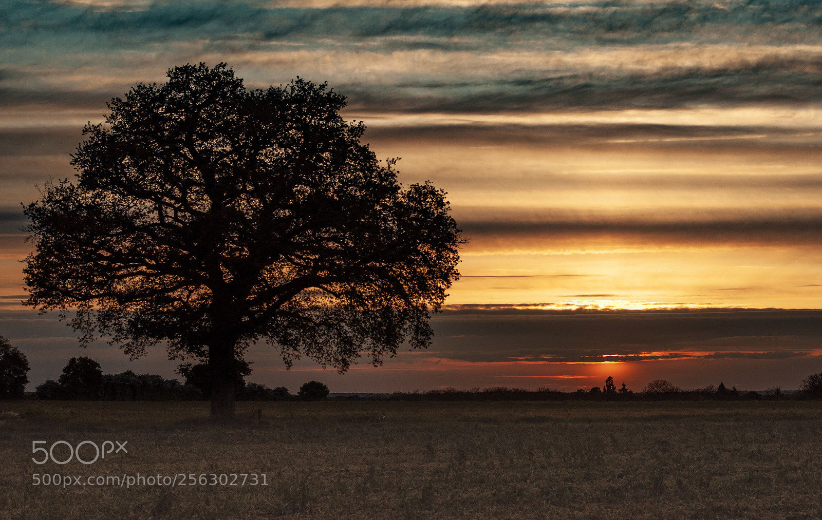 Nikon D5000 sample photo. Classic sunset  photography