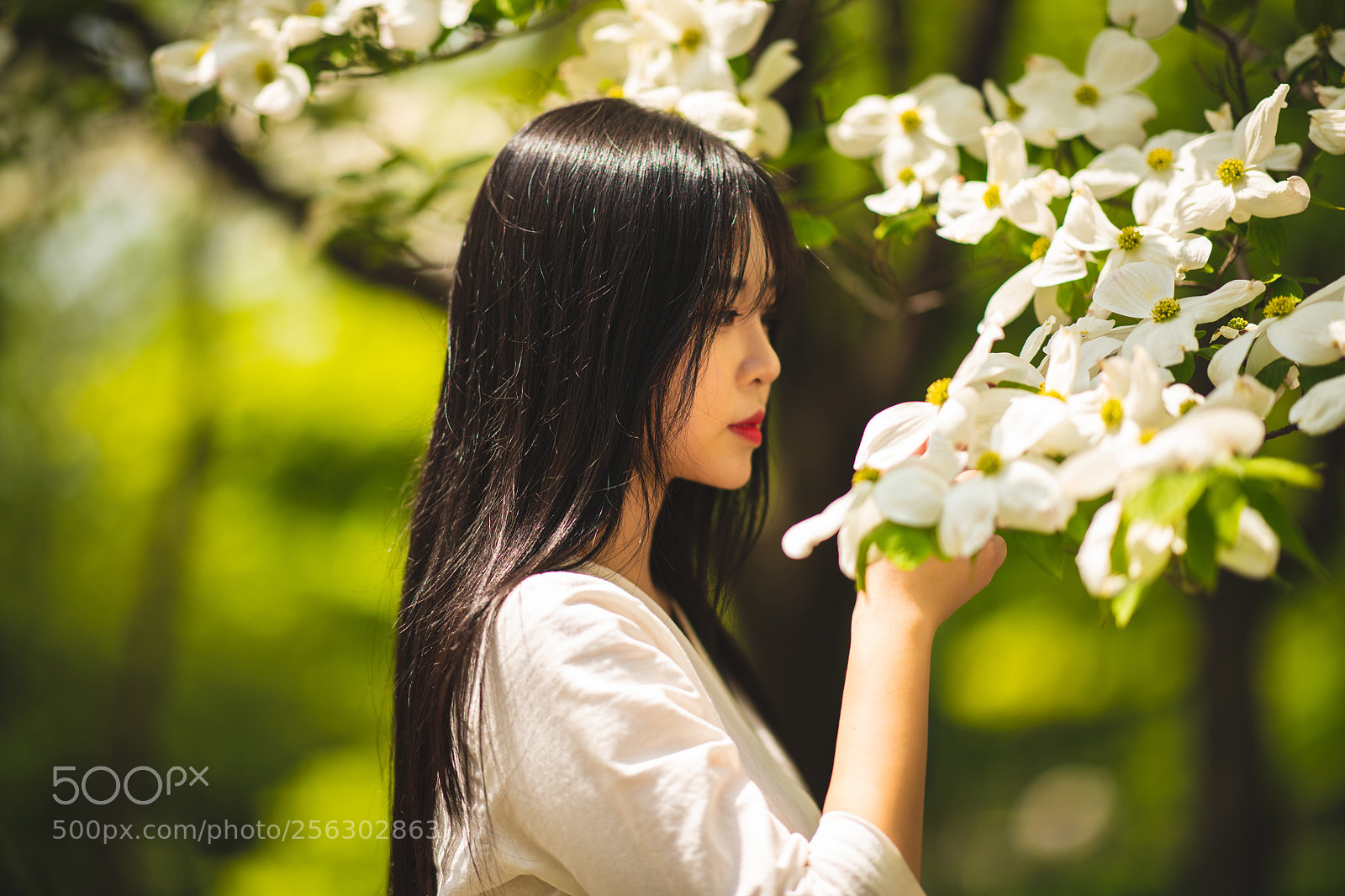 Nikon D850 sample photo. Spring photography