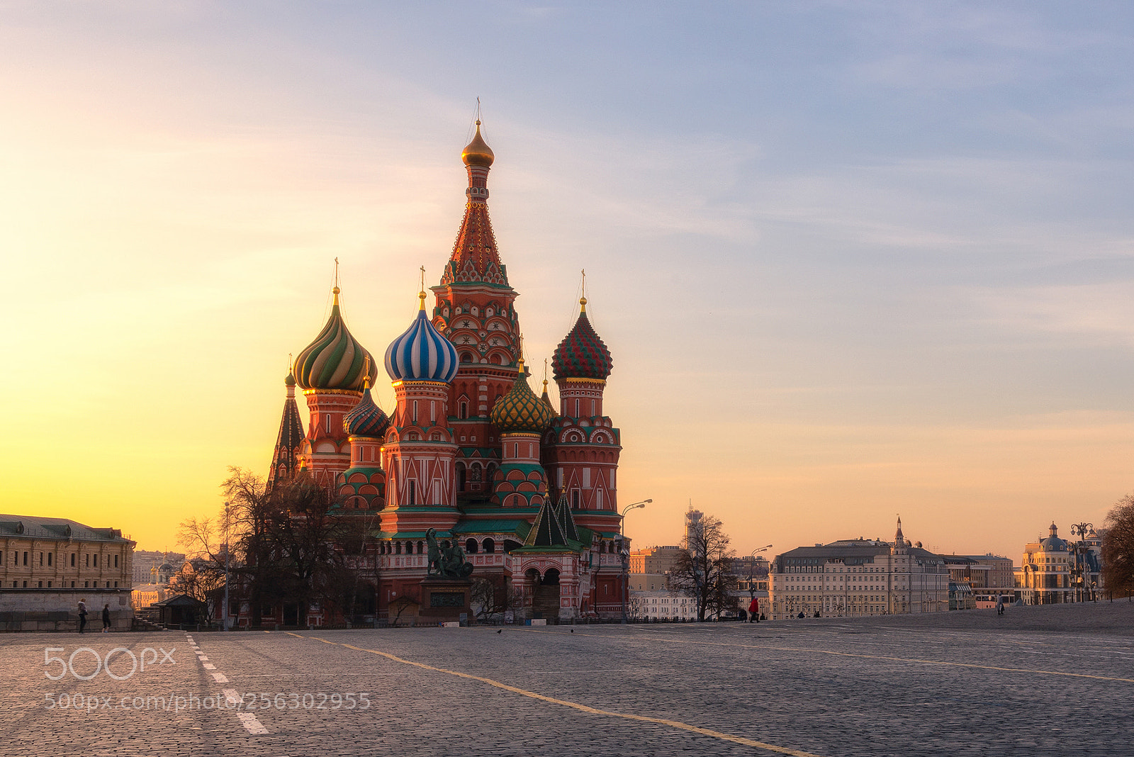Nikon D750 sample photo. Saint basil's cathedral at photography