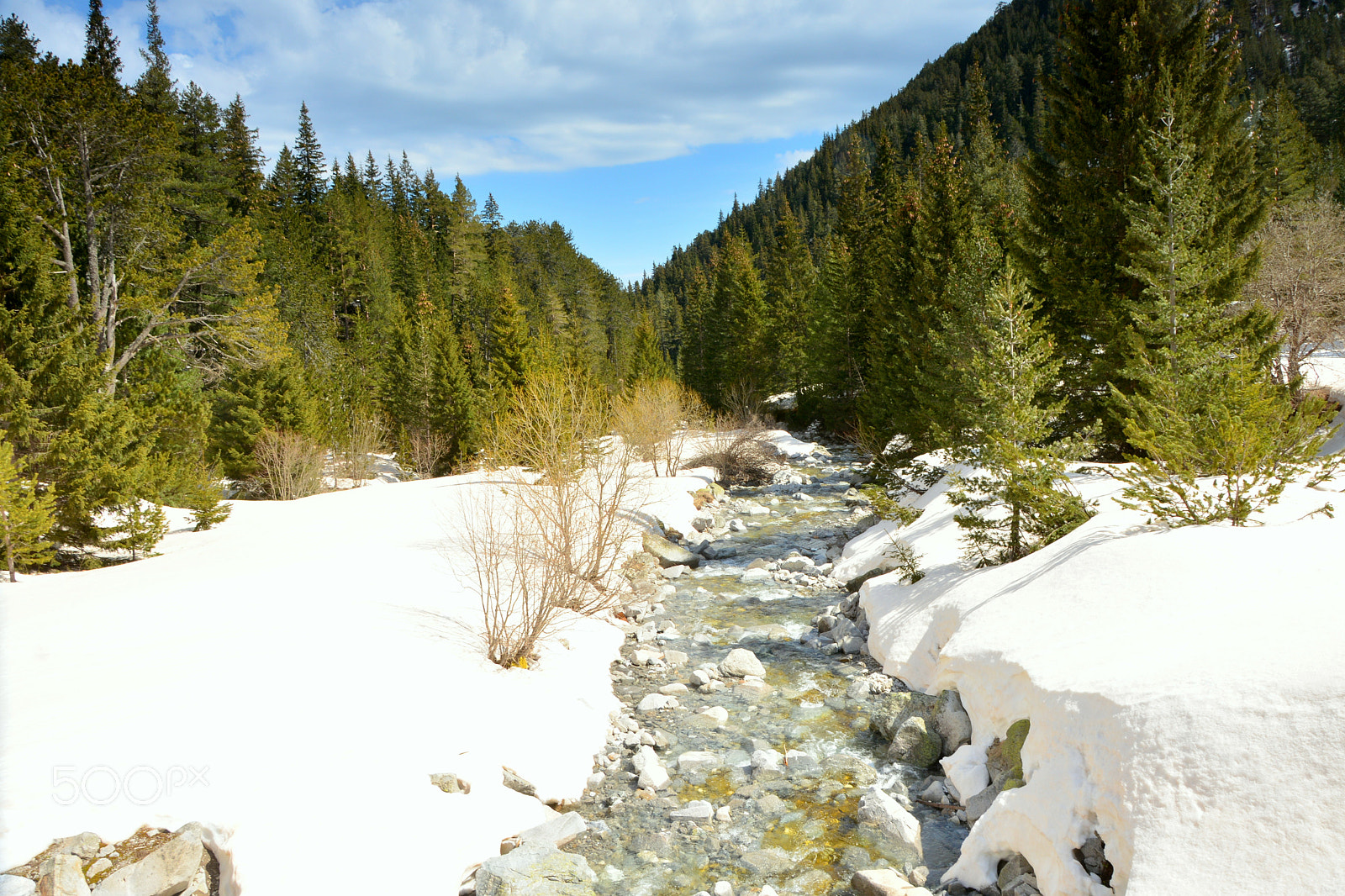 Nikon D7100 sample photo. The last snow photography