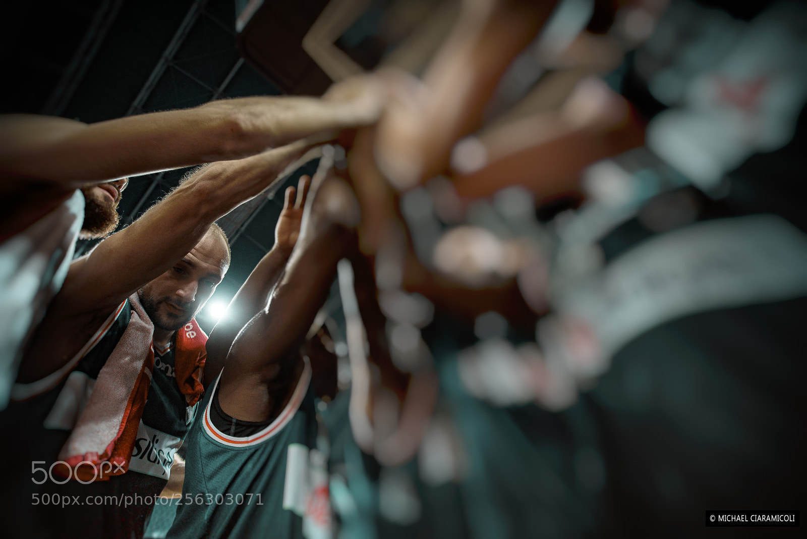 Nikon D750 sample photo. A testa alta photography