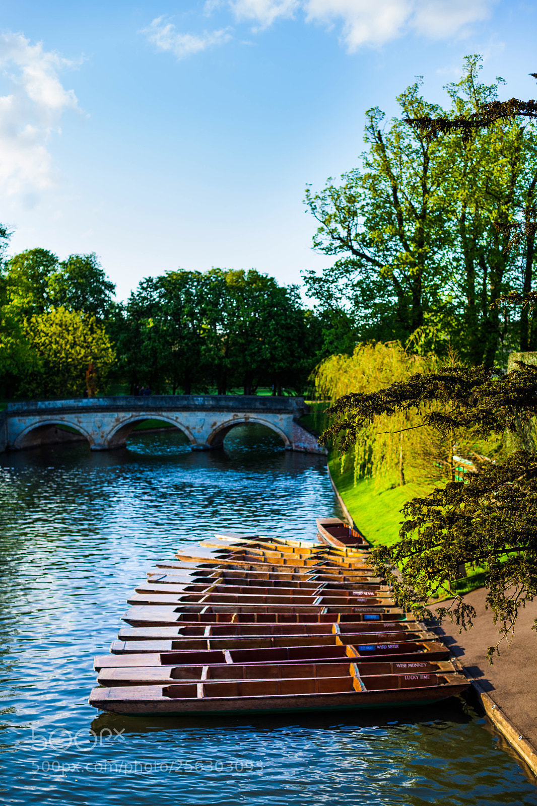 Canon EOS 5D Mark II sample photo. Moored up photography