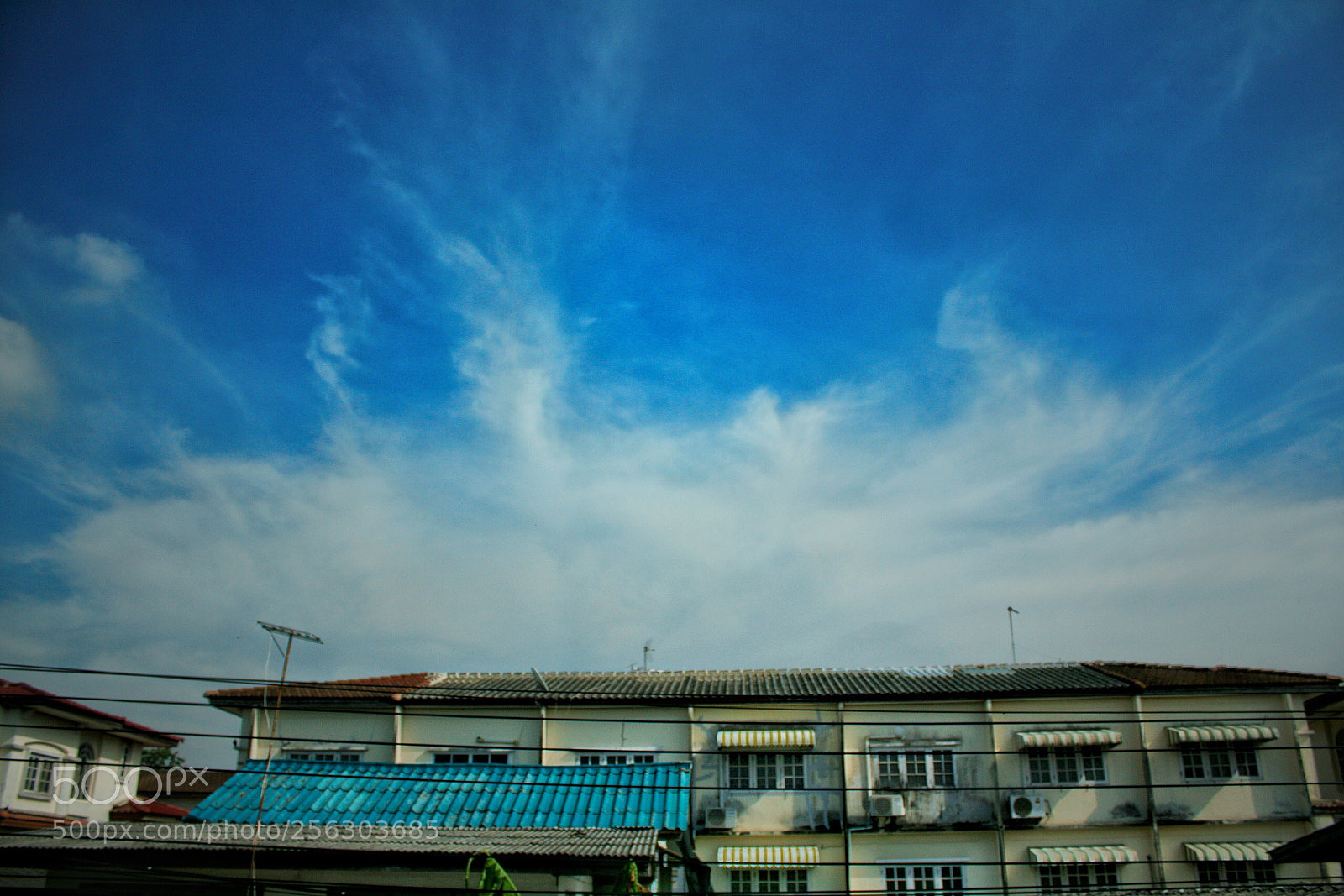Canon EOS 60D sample photo. Untitled photography