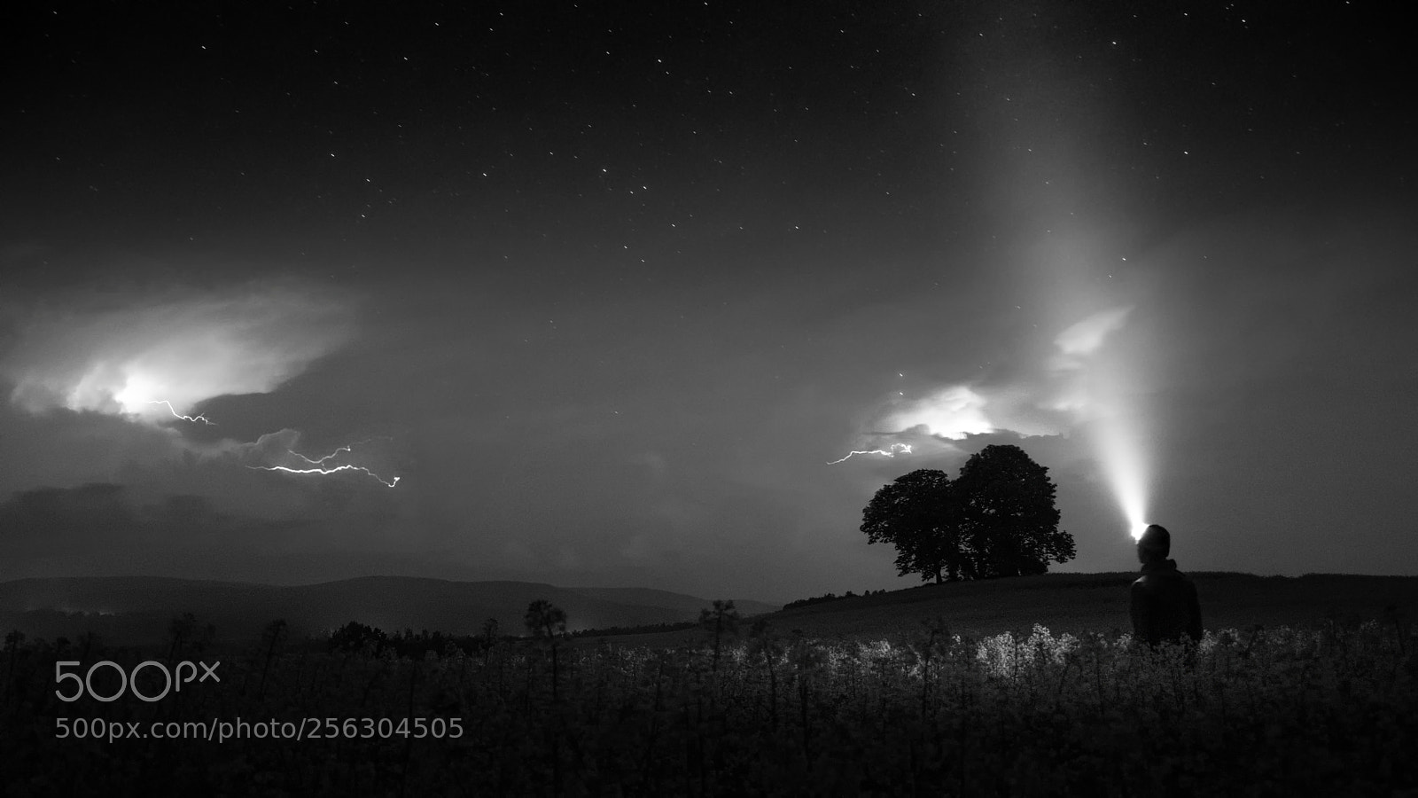 Nikon D5300 sample photo. I'll be thunder ... photography