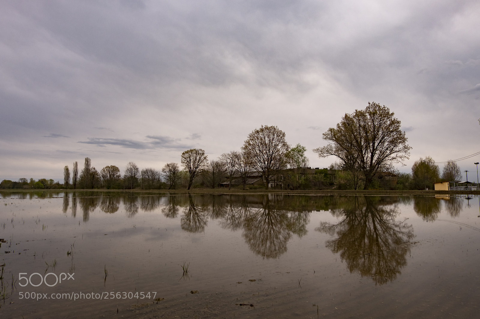 Fujifilm X-T20 sample photo. Riflessi in risaia photography