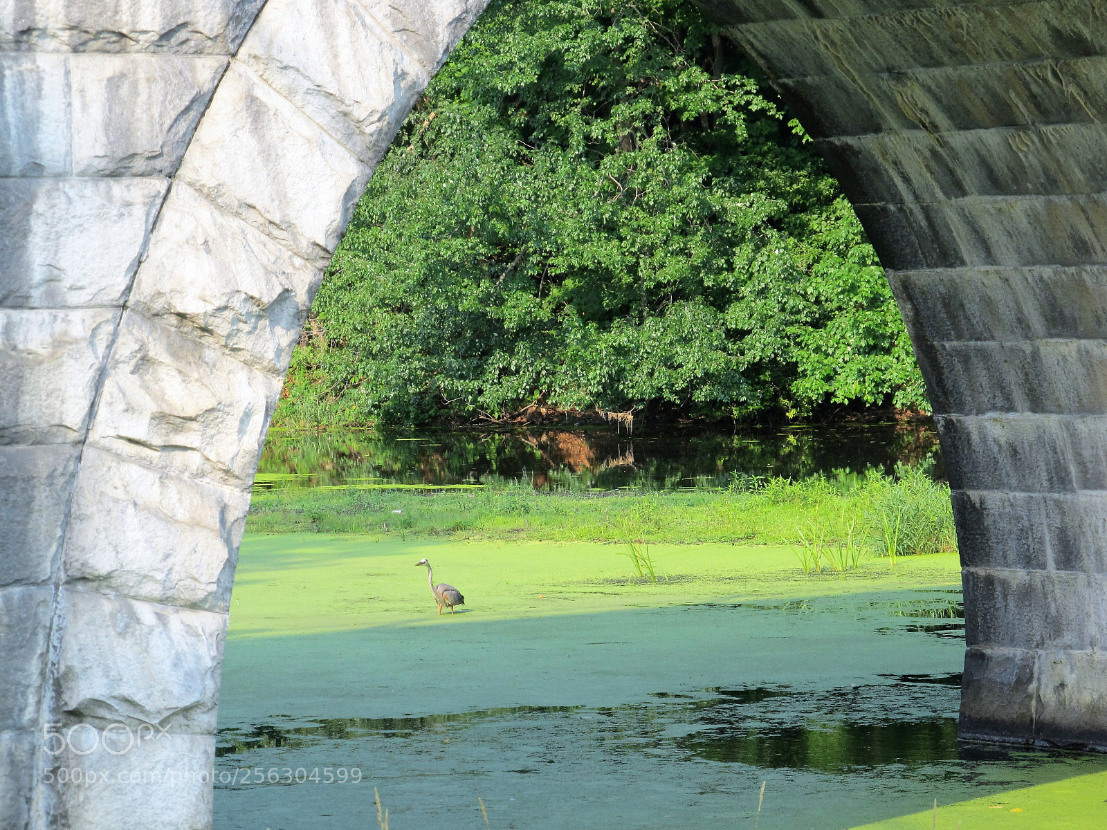 Canon PowerShot SX130 IS sample photo. Heron at aquaduct photography