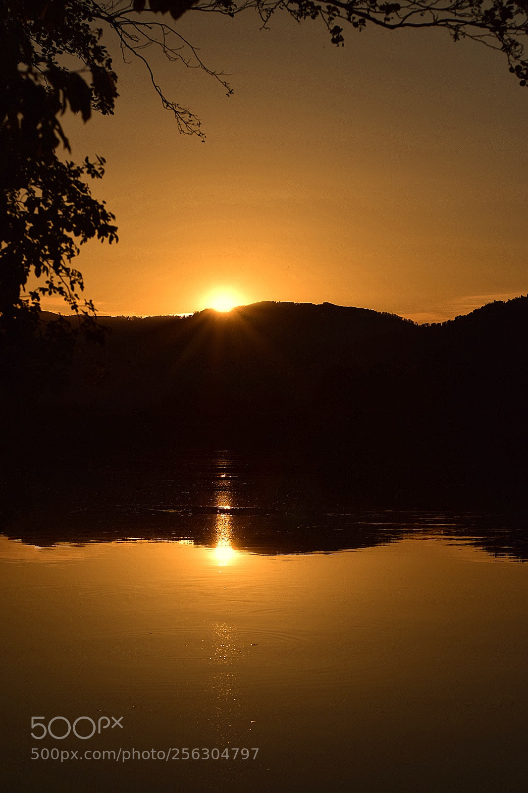 Nikon D5300 sample photo. Untitled photography