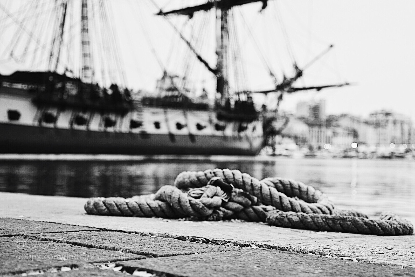 Nikon D5600 sample photo. The rope !! photography