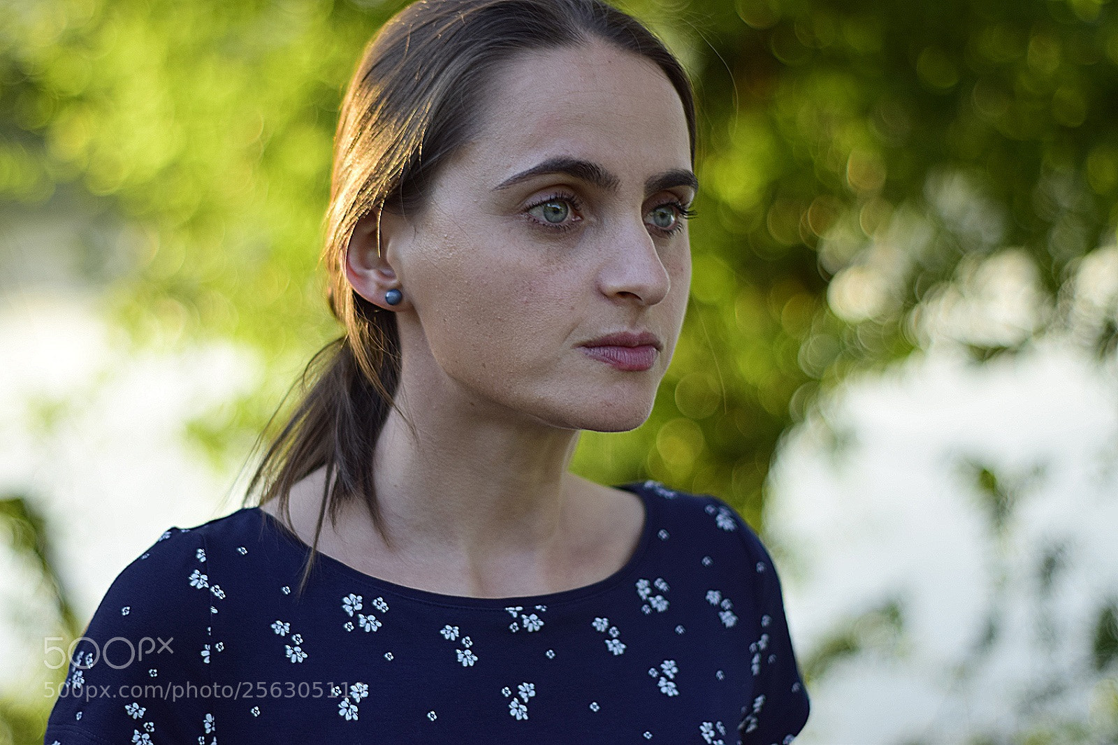 Nikon D5300 sample photo. Untitled photography