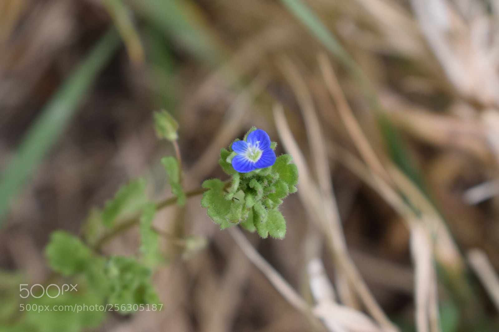 Nikon D5300 sample photo. Untitled photography