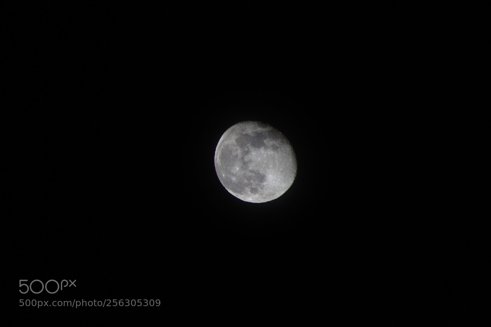 Canon EOS 100D (EOS Rebel SL1 / EOS Kiss X7) sample photo. The shining side photography