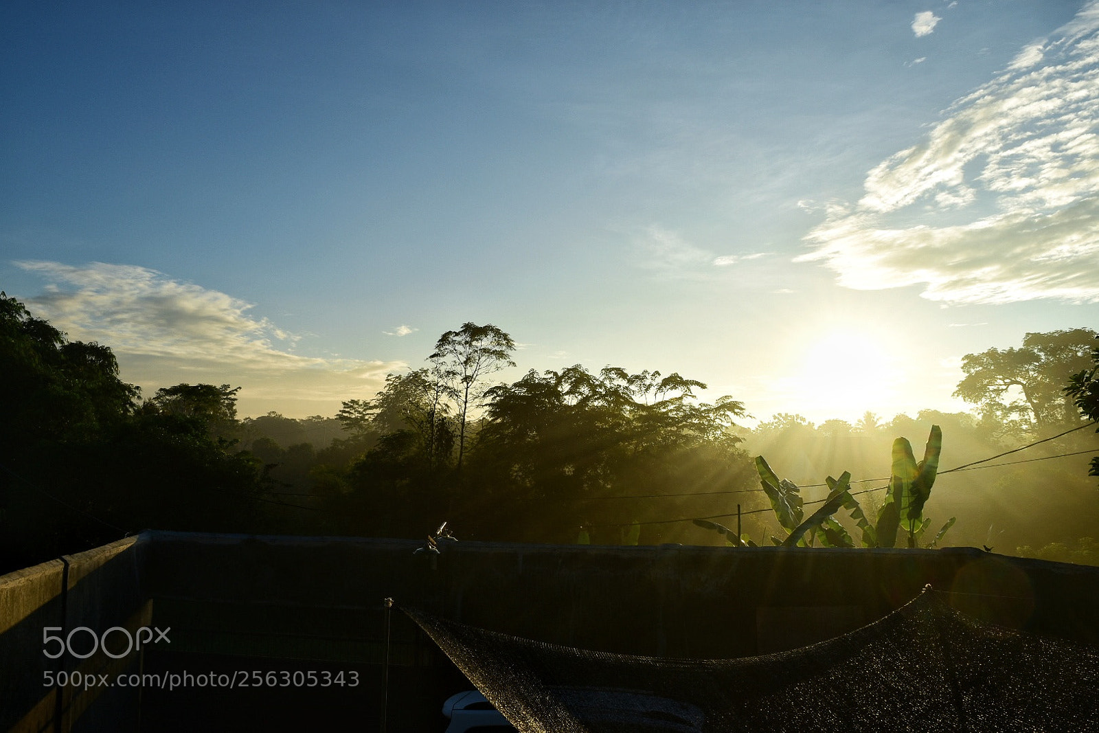 Nikon D5500 sample photo. Untitled photography