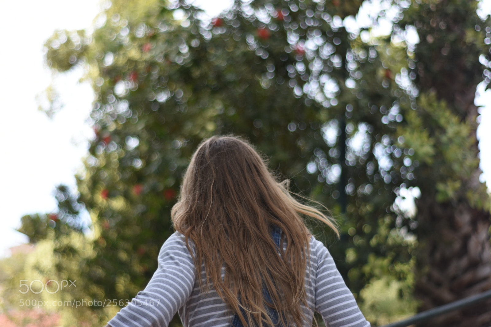 Nikon D3400 sample photo. Untitled photography