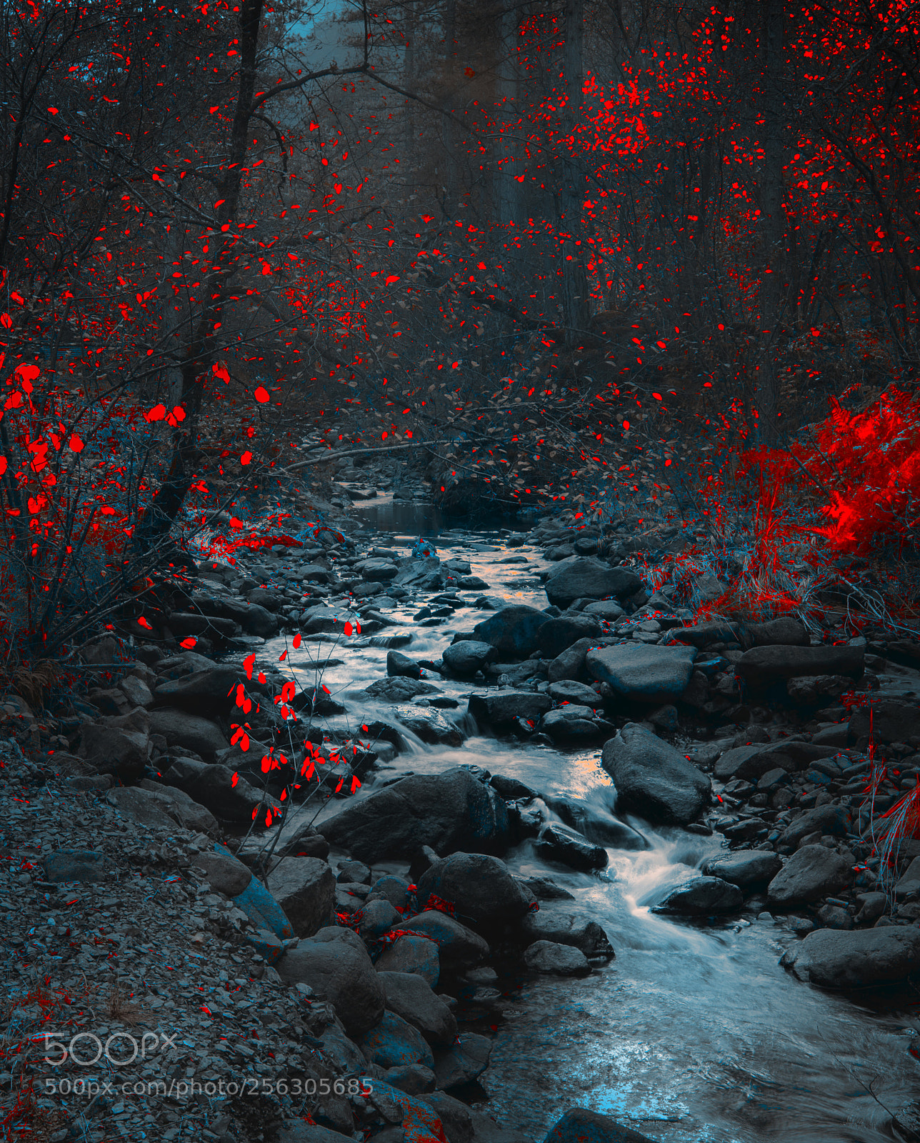Nikon D610 sample photo. Stream photography