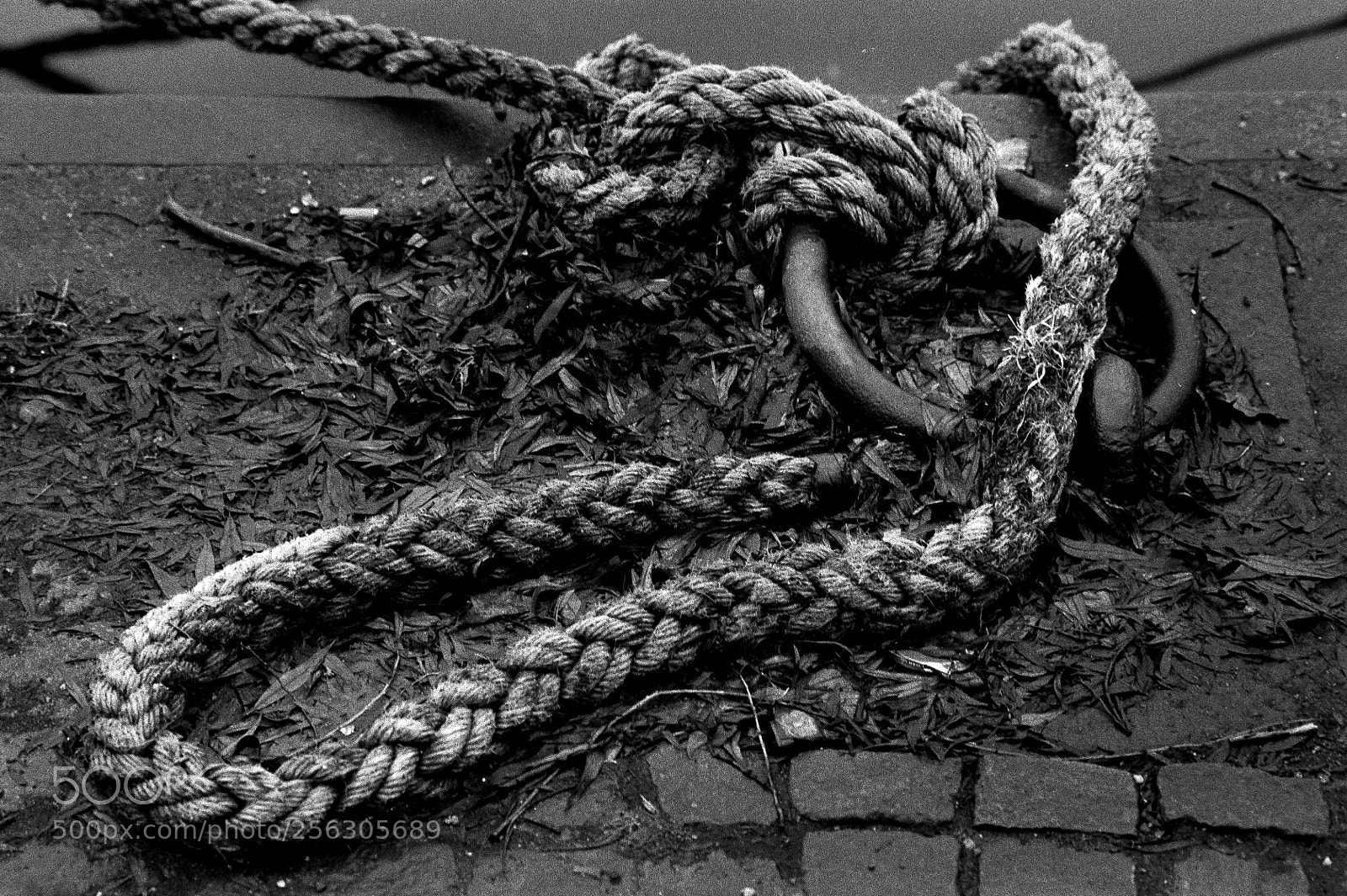 Nikon D700 sample photo. Mooring photography