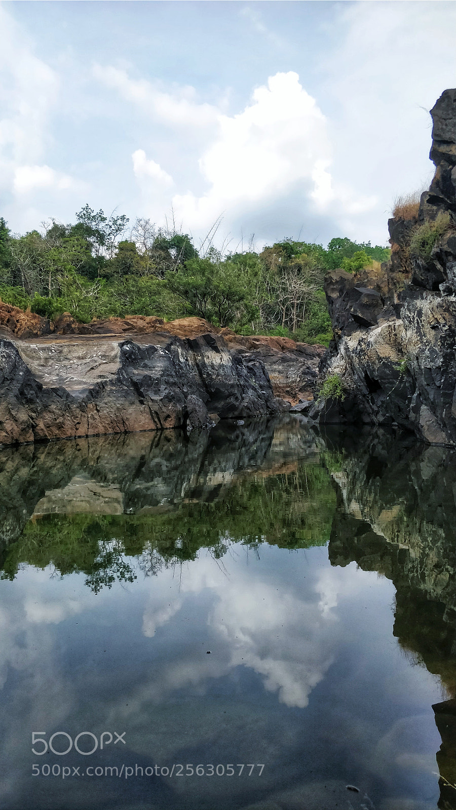 OnePlus 5 sample photo. Pond photography