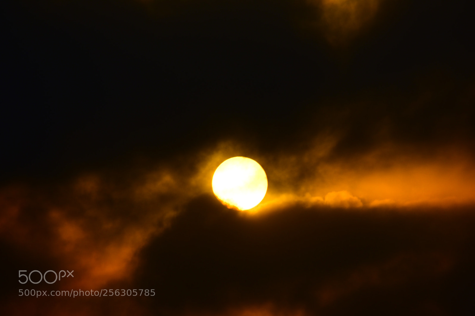 Nikon D3400 sample photo. #beautyofsun photography
