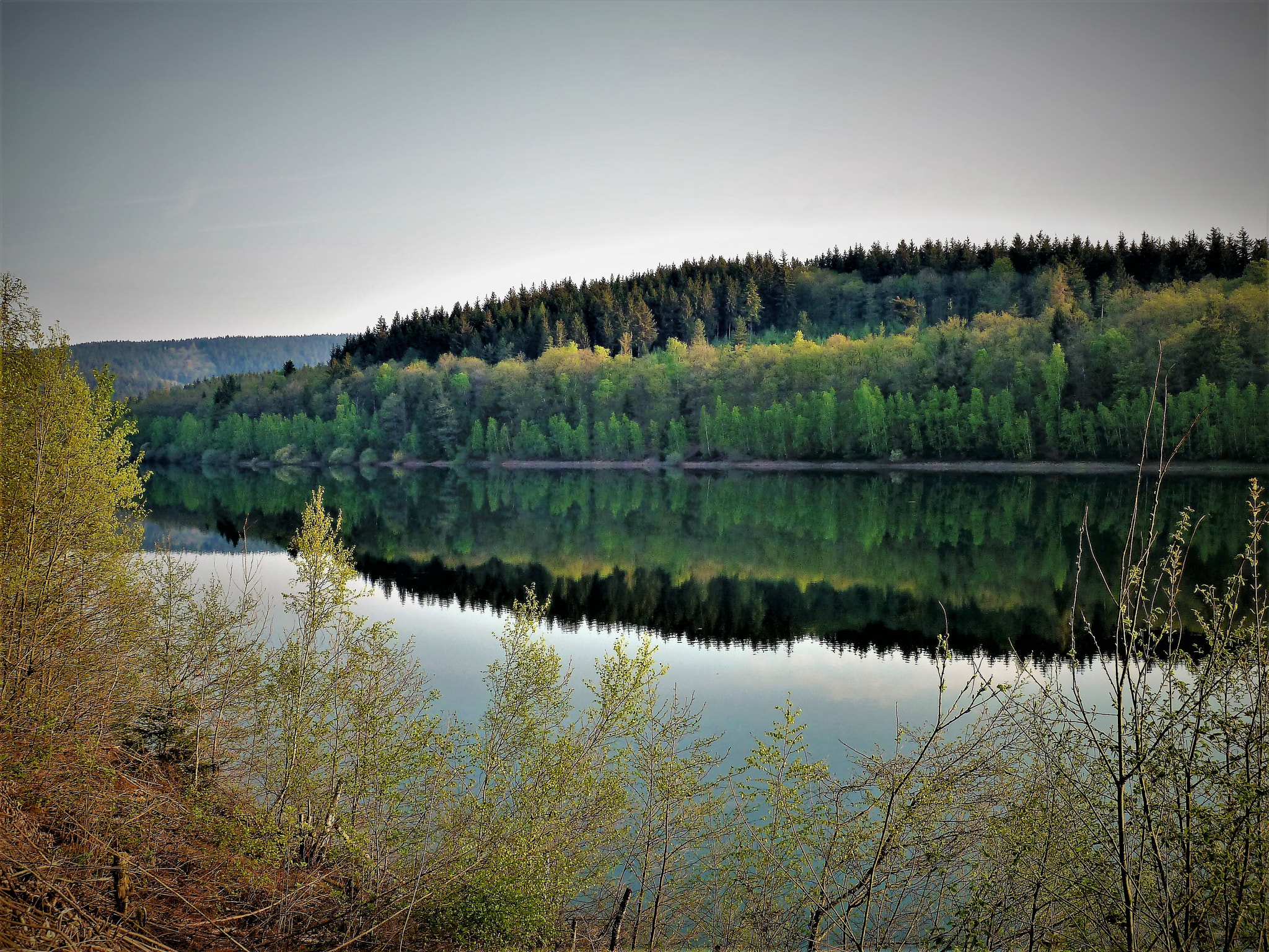 Panasonic Lumix DMC-ZS5 (Lumix DMC-TZ8) sample photo. Blick photography