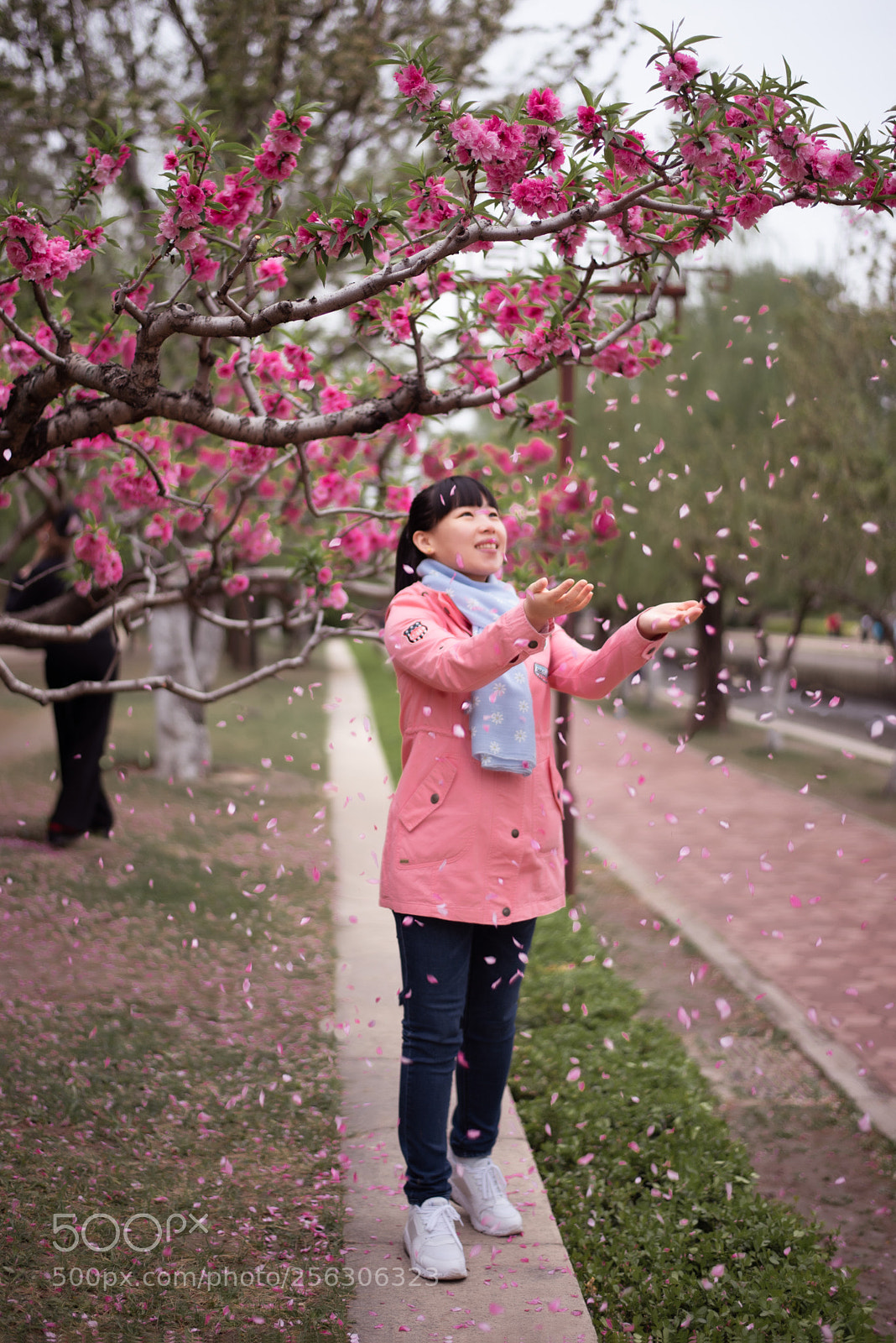 Nikon D750 sample photo. 唯美桃花人像 photography