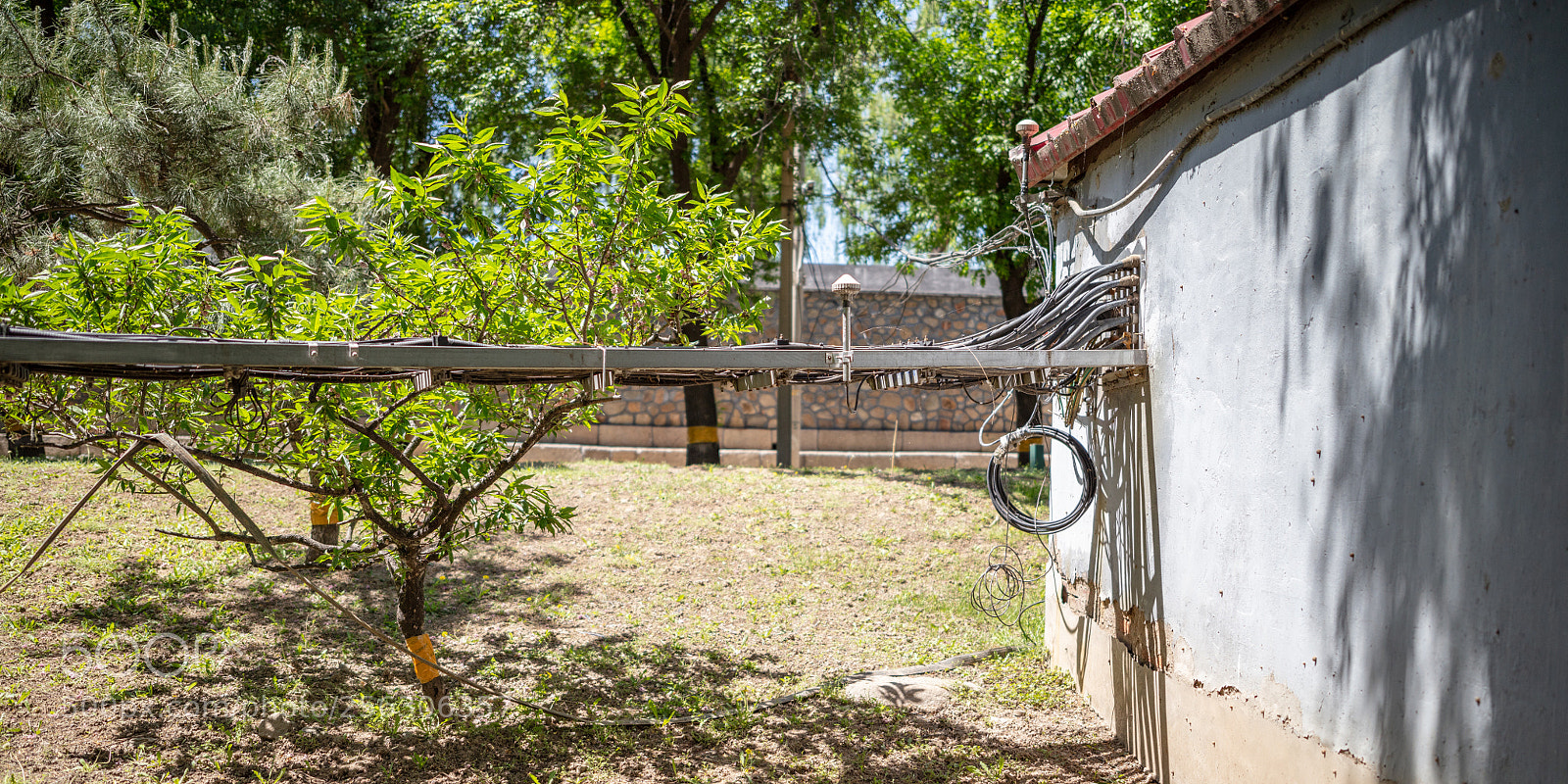 Canon EOS 5DS R sample photo. 5ds r test photography