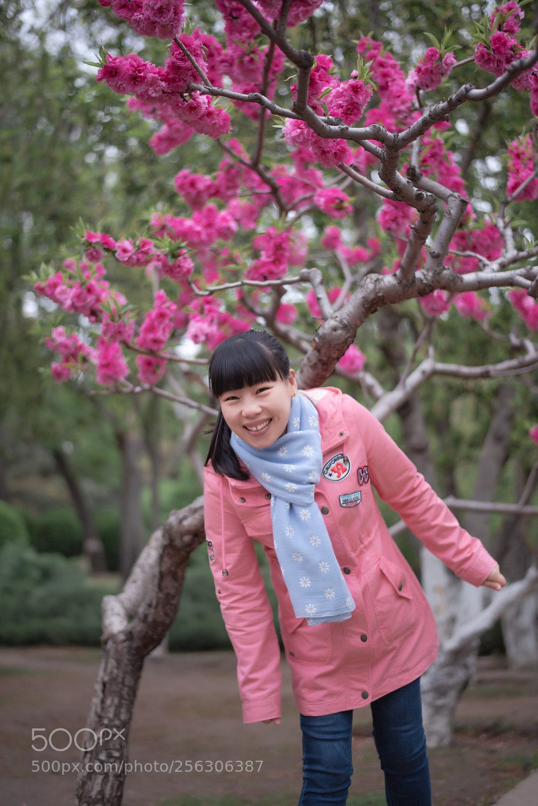 Nikon D750 sample photo. 唯美桃花人像 photography
