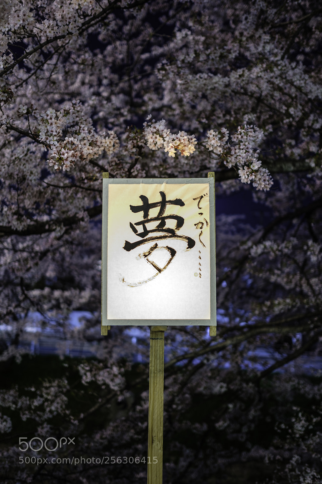 Fujifilm X-T2 sample photo. Big dream photography