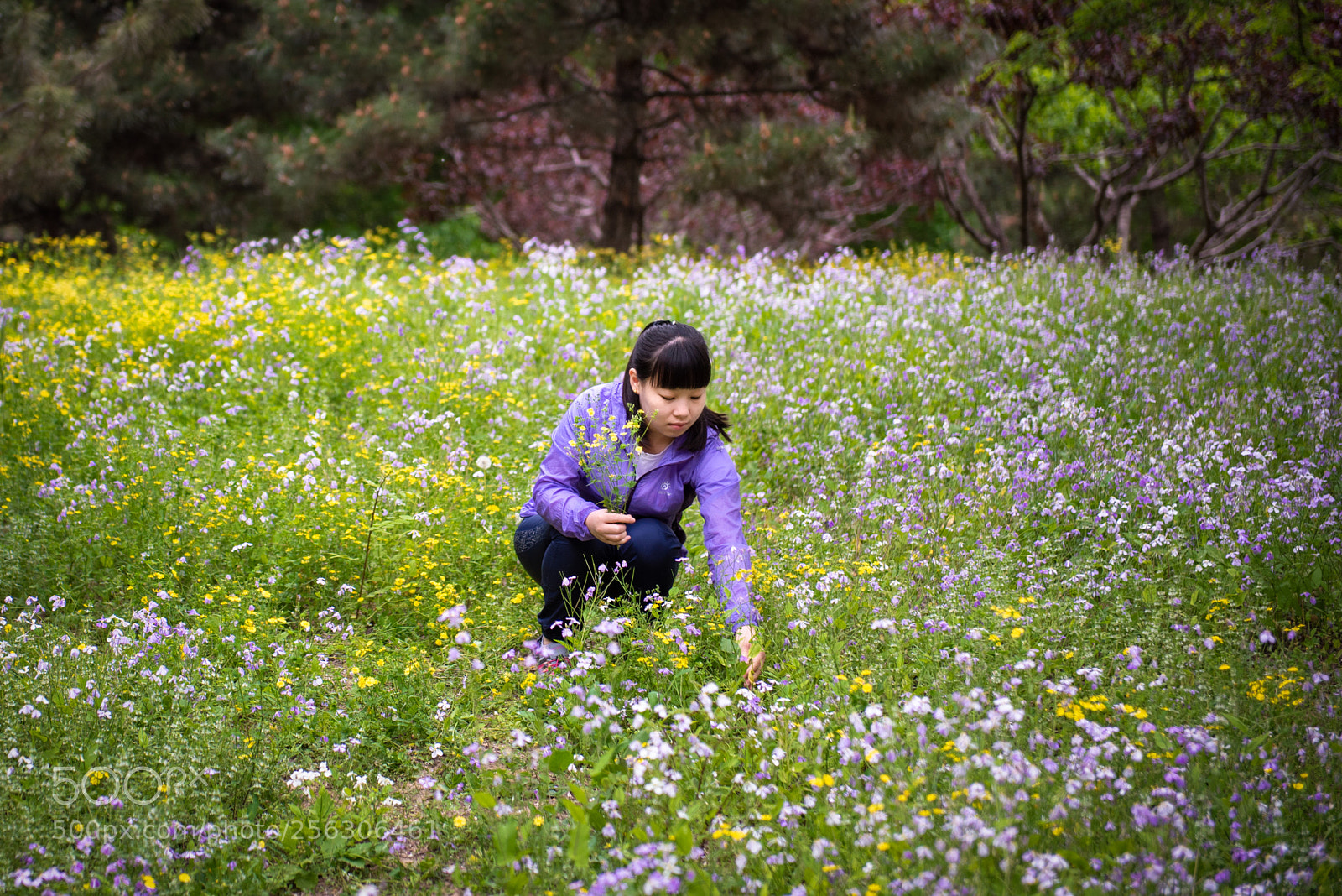 Nikon D750 sample photo. 给老婆拍照才是正经事 photography