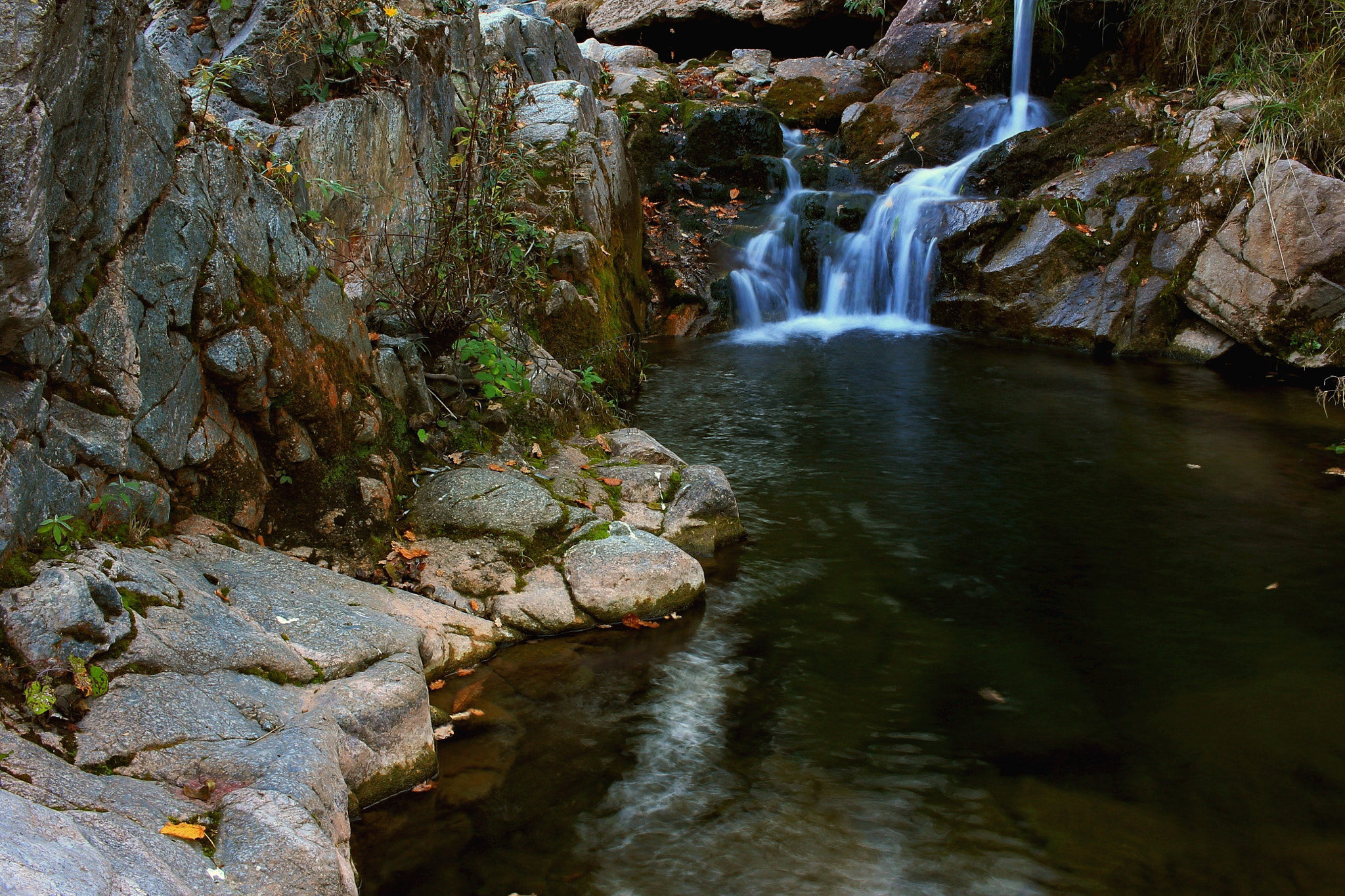 Canon EF-S 24mm F2.8 STM sample photo. Torrent photography