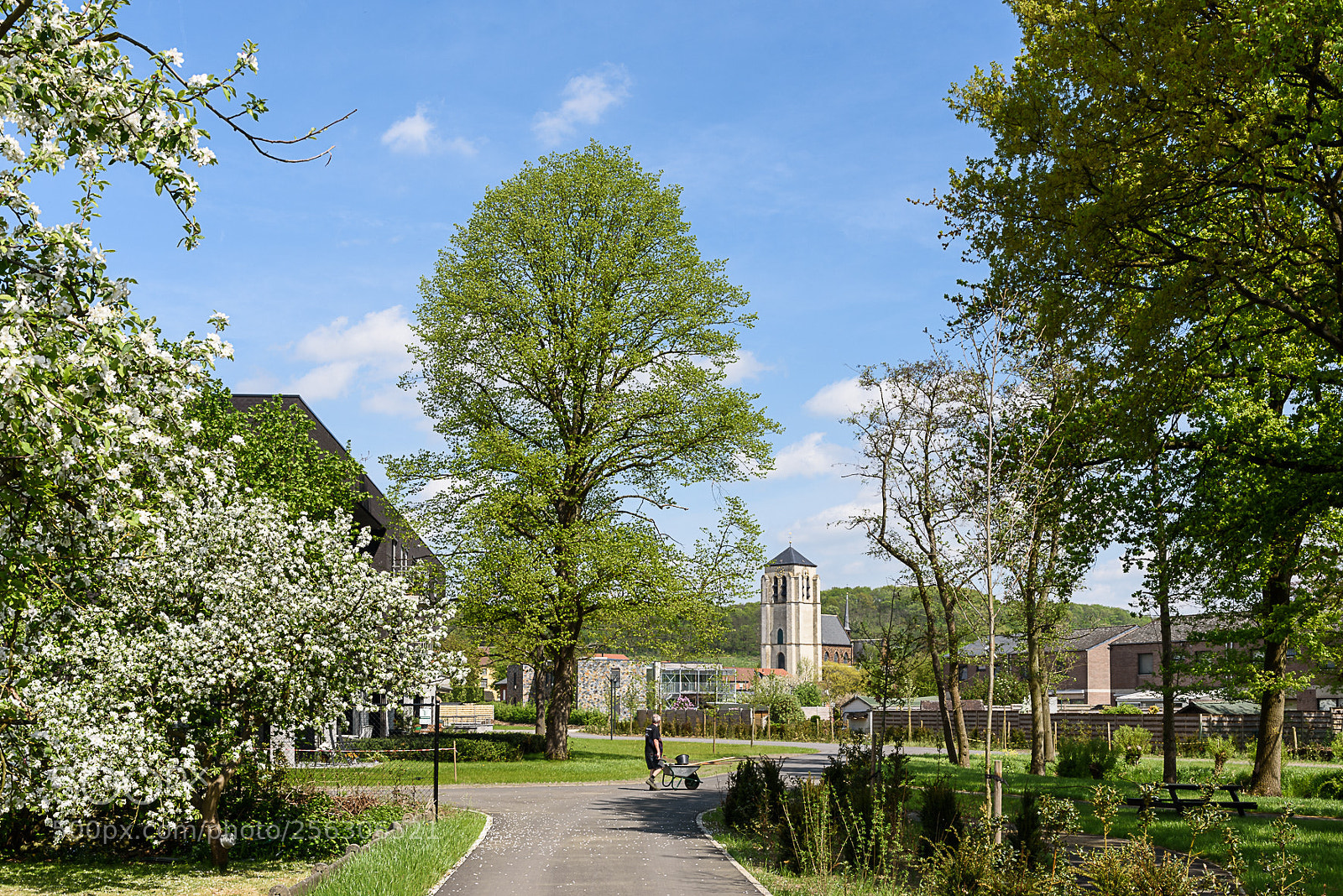 Nikon D750 sample photo. Springtime in the village photography