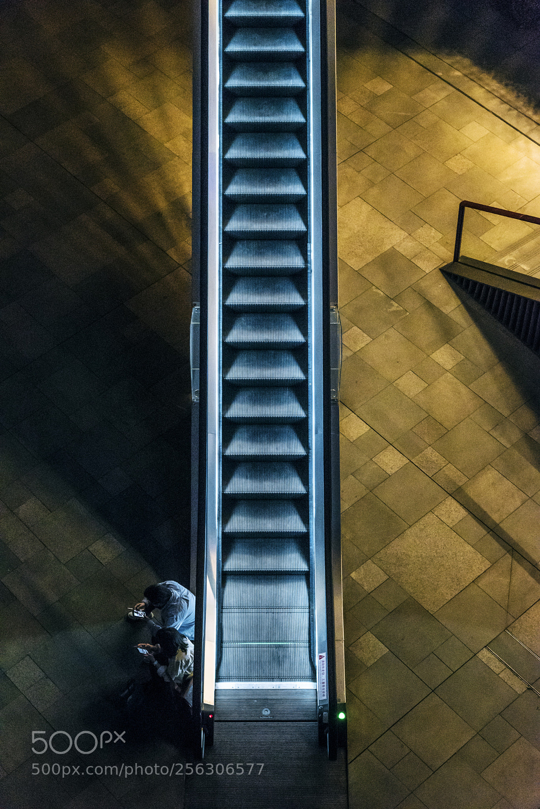 Nikon D750 sample photo. Beside the light photography