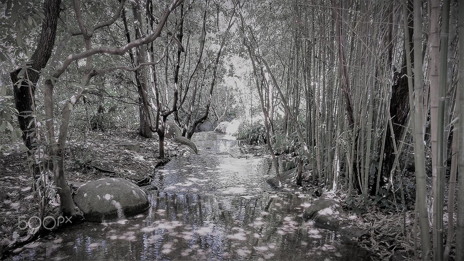 LG G3 sample photo. Harmony photography