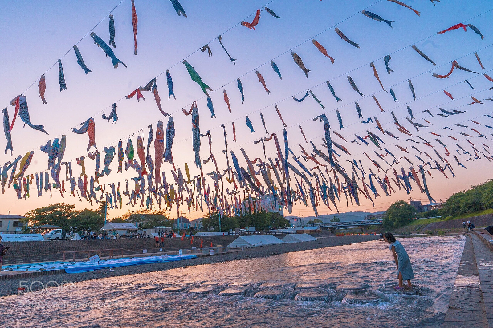 Sony a7 II sample photo. Carp streamers for children photography