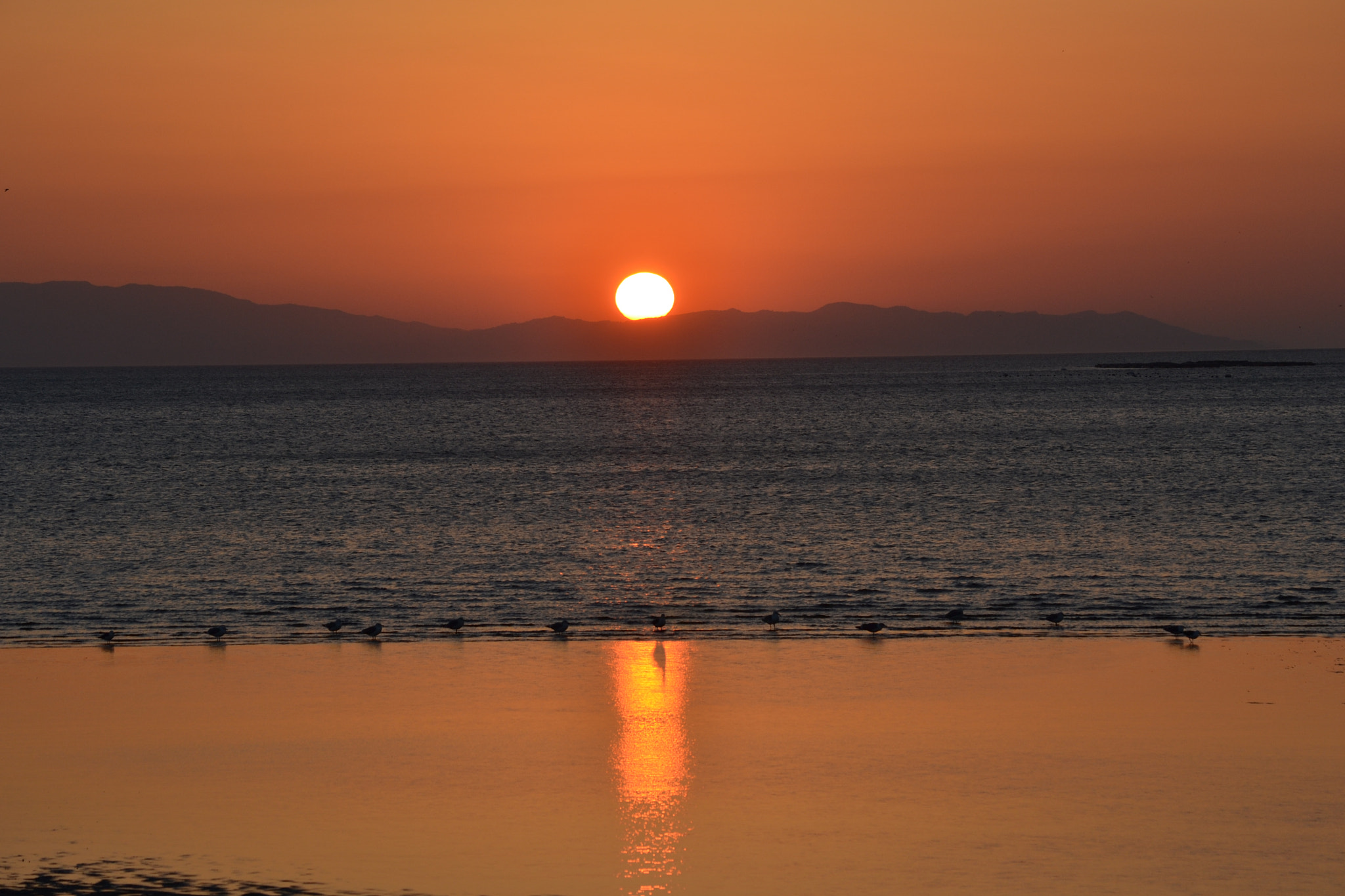 Nikon D3100 sample photo. The light is for me photography
