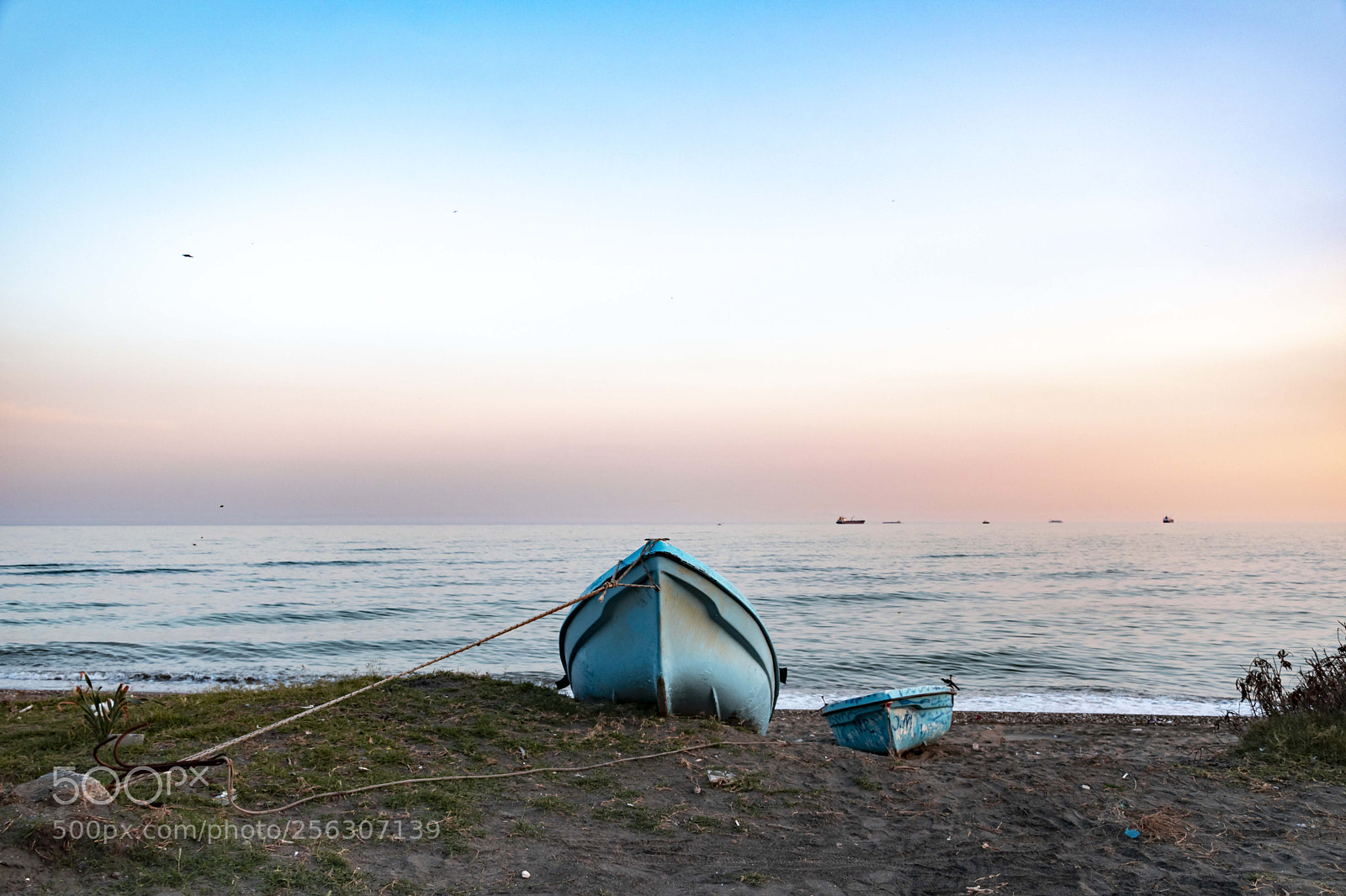 Nikon D5600 sample photo. Cockleboat photography
